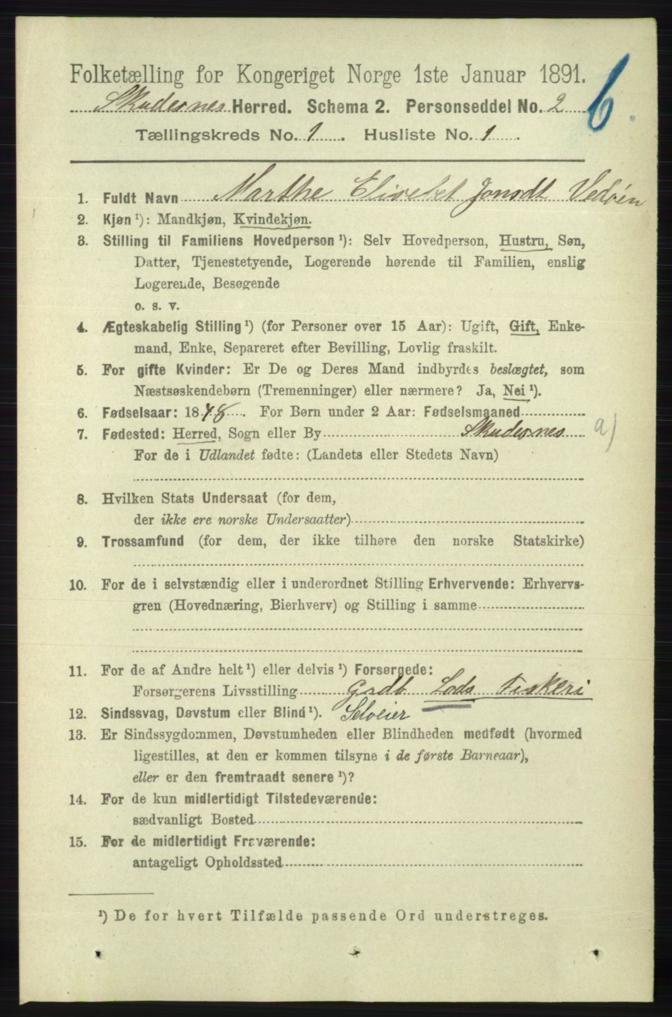 RA, 1891 census for 1150 Skudenes, 1891, p. 3393