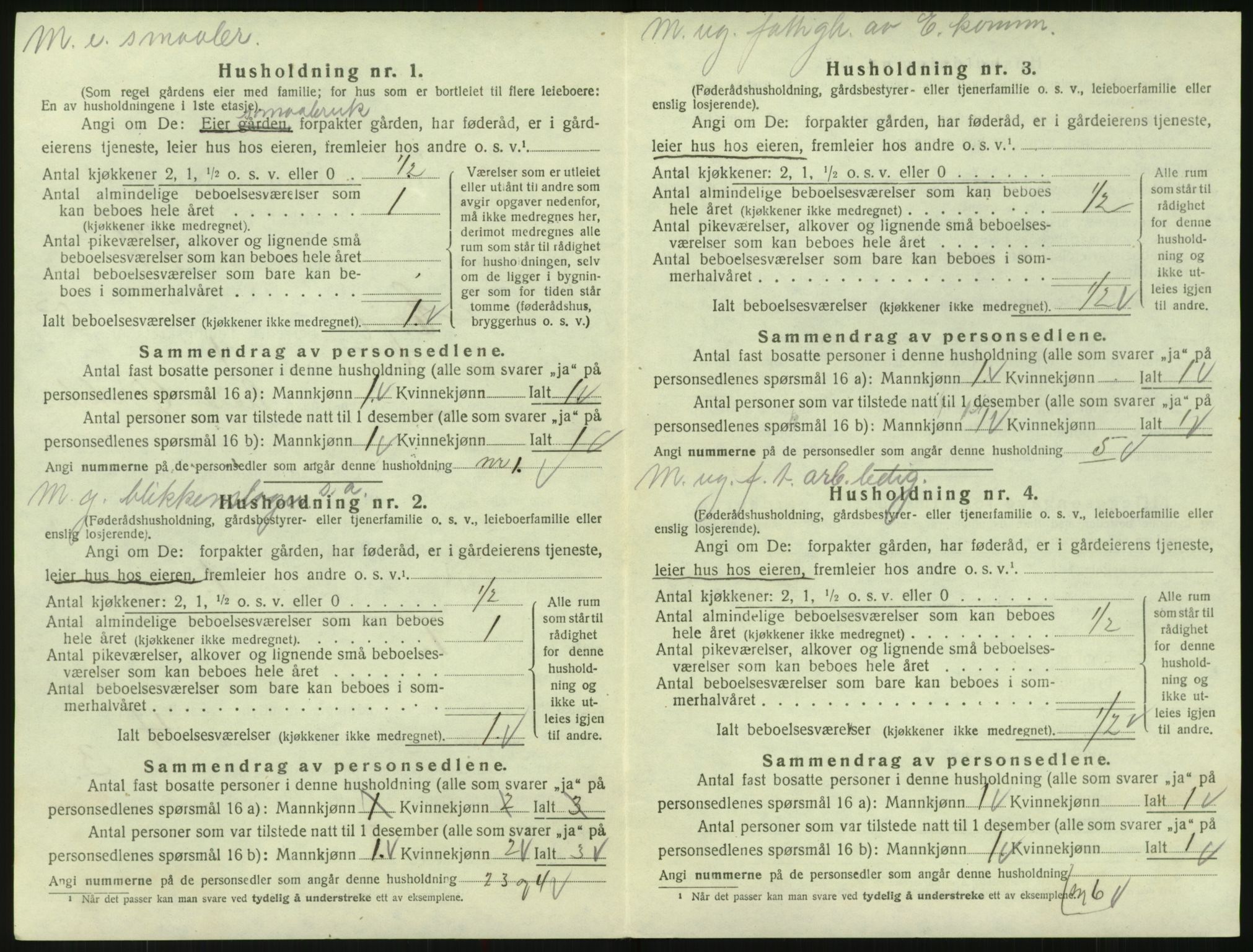 SAK, 1920 census for Evje, 1920, p. 307