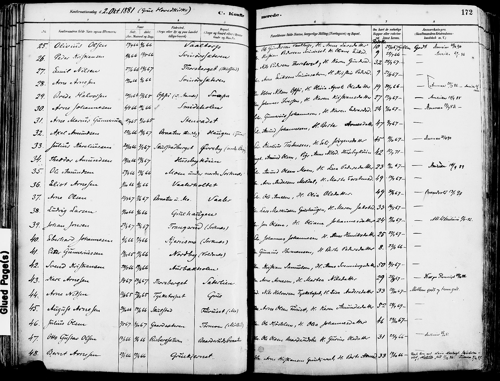 Grue prestekontor, SAH/PREST-036/H/Ha/Haa/L0012: Parish register (official) no. 12, 1881-1897, p. 172