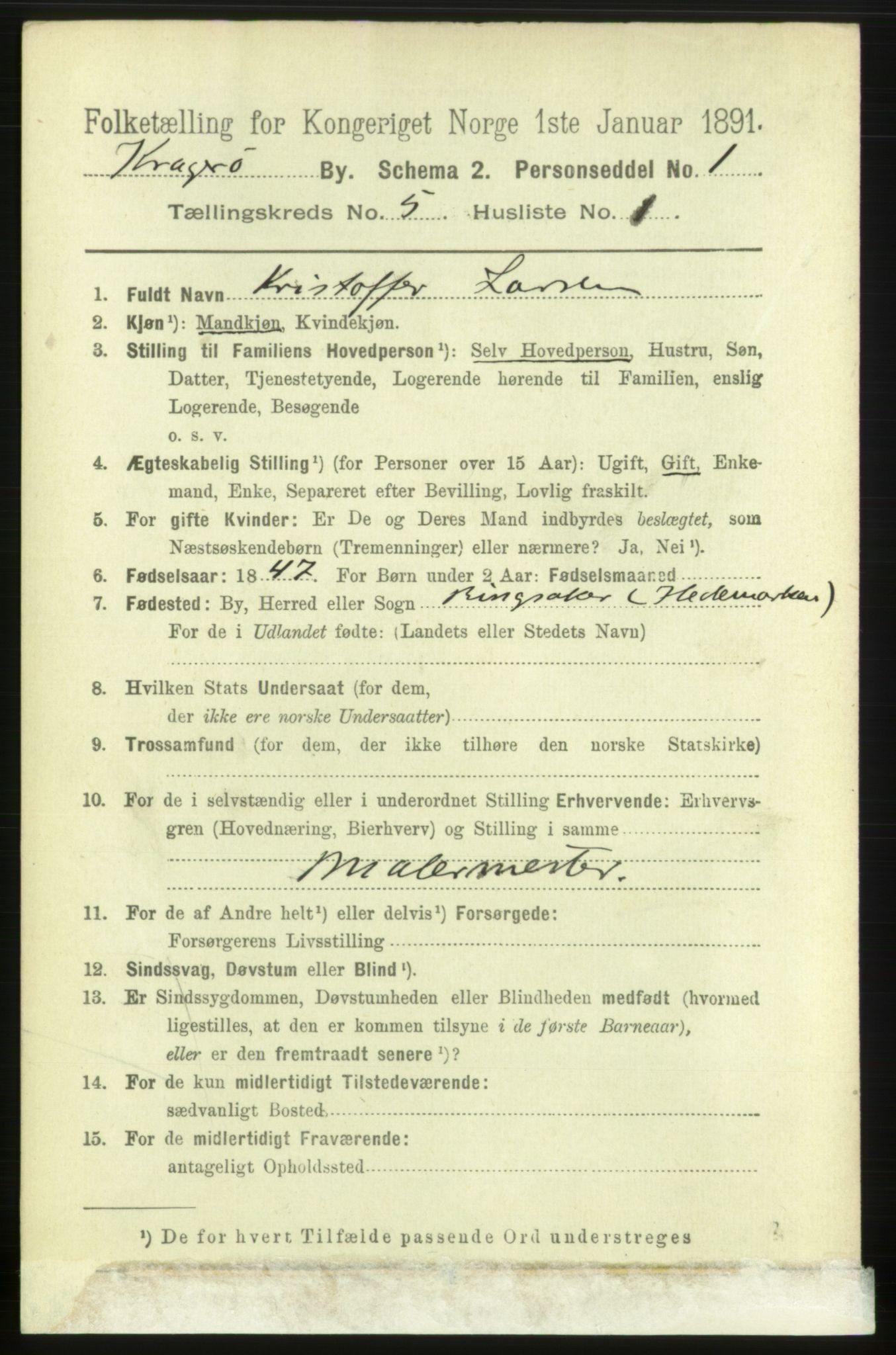 RA, 1891 census for 0801 Kragerø, 1891, p. 3011