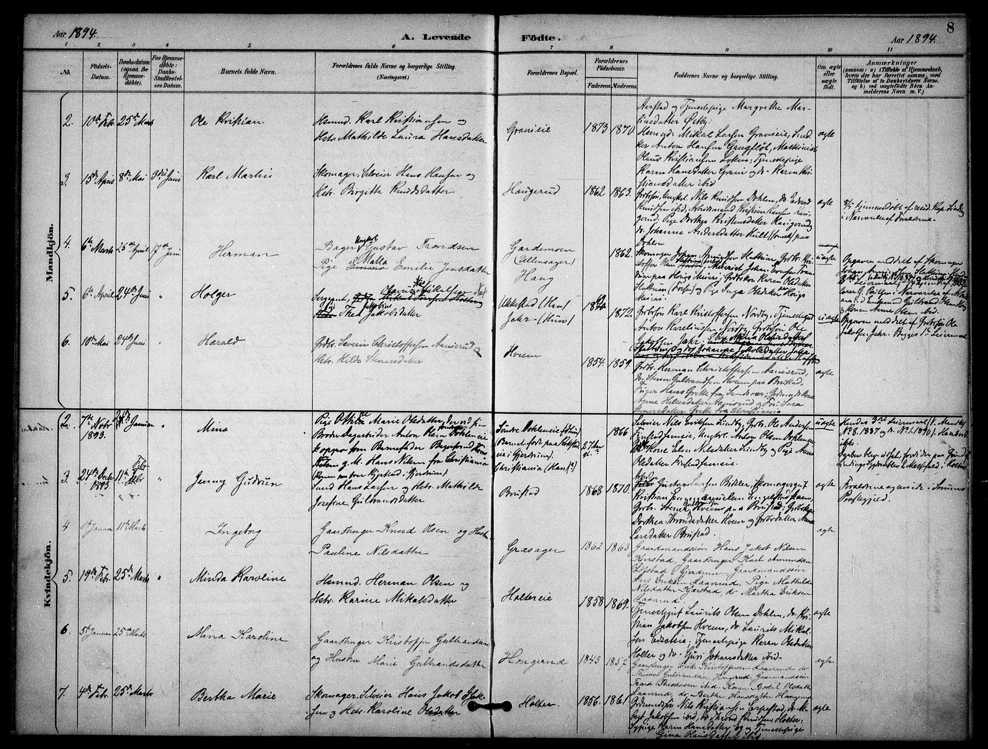 Nannestad prestekontor Kirkebøker, AV/SAO-A-10414a/F/Fb/L0002: Parish register (official) no. II 2, 1891-1909, p. 8