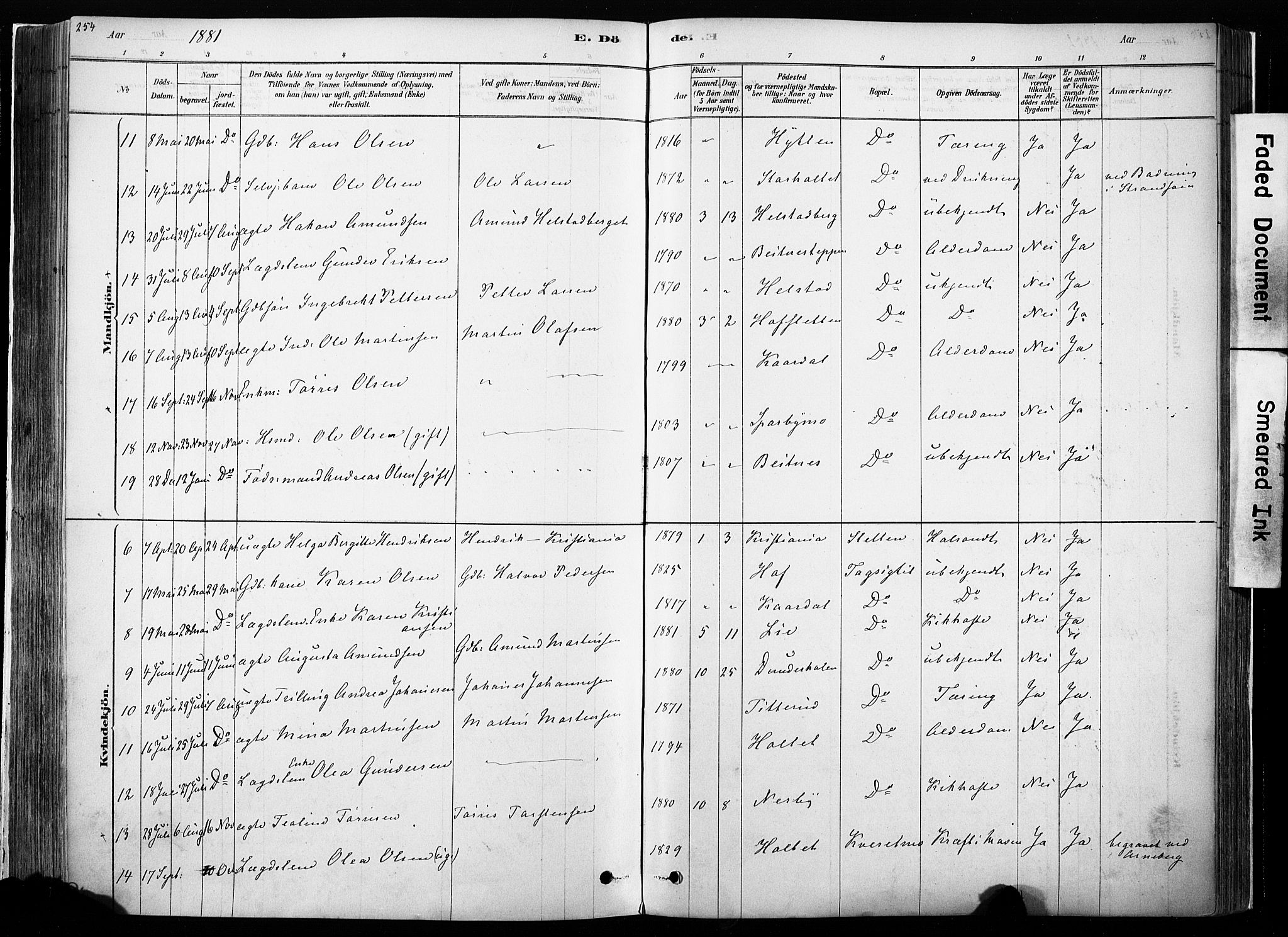 Hof prestekontor, AV/SAH-PREST-038/H/Ha/Haa/L0010: Parish register (official) no. 10, 1878-1909, p. 254