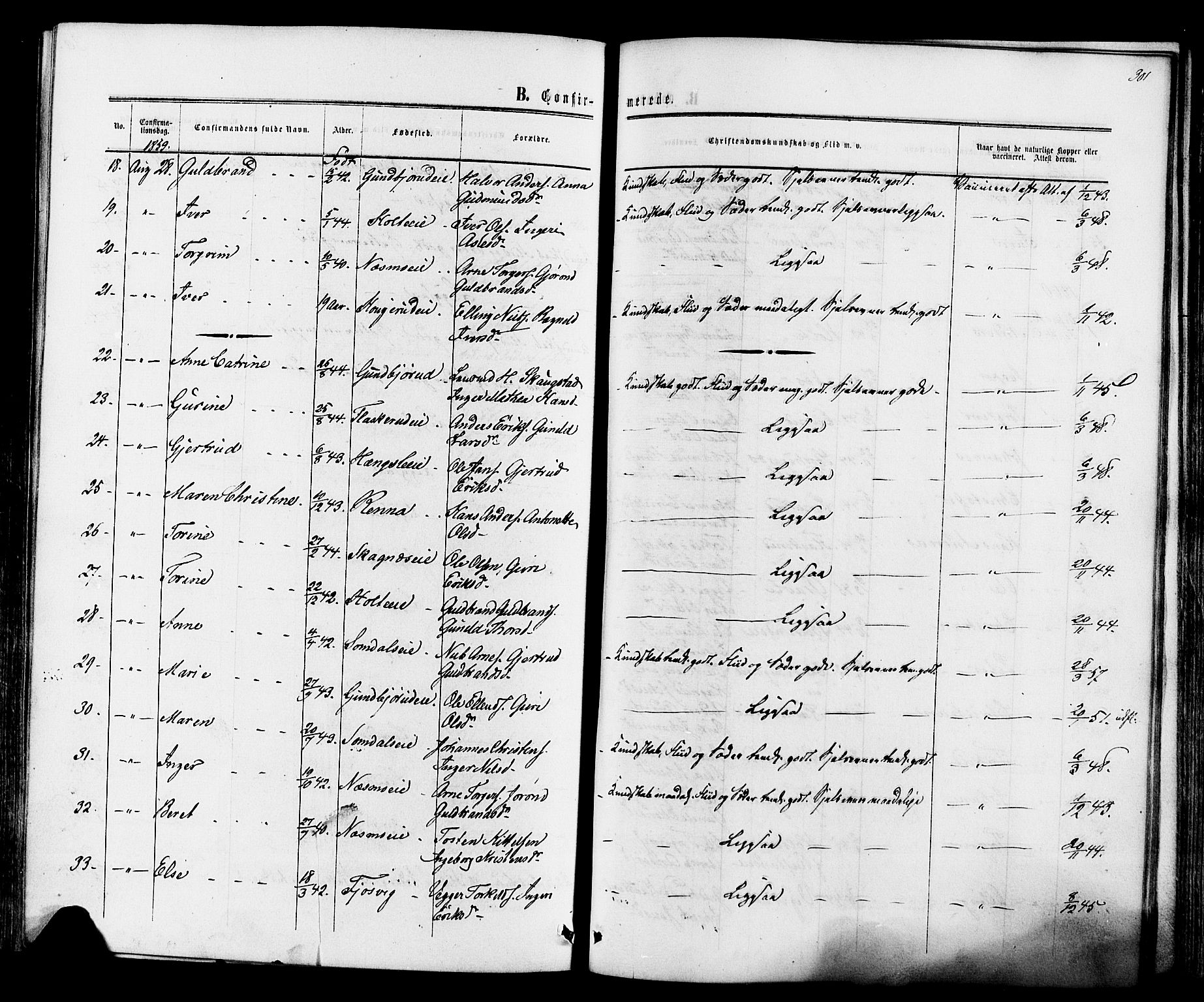 Ådal kirkebøker, SAKO/A-248/F/Fa/L0001: Parish register (official) no. I 1, 1857-1883, p. 301