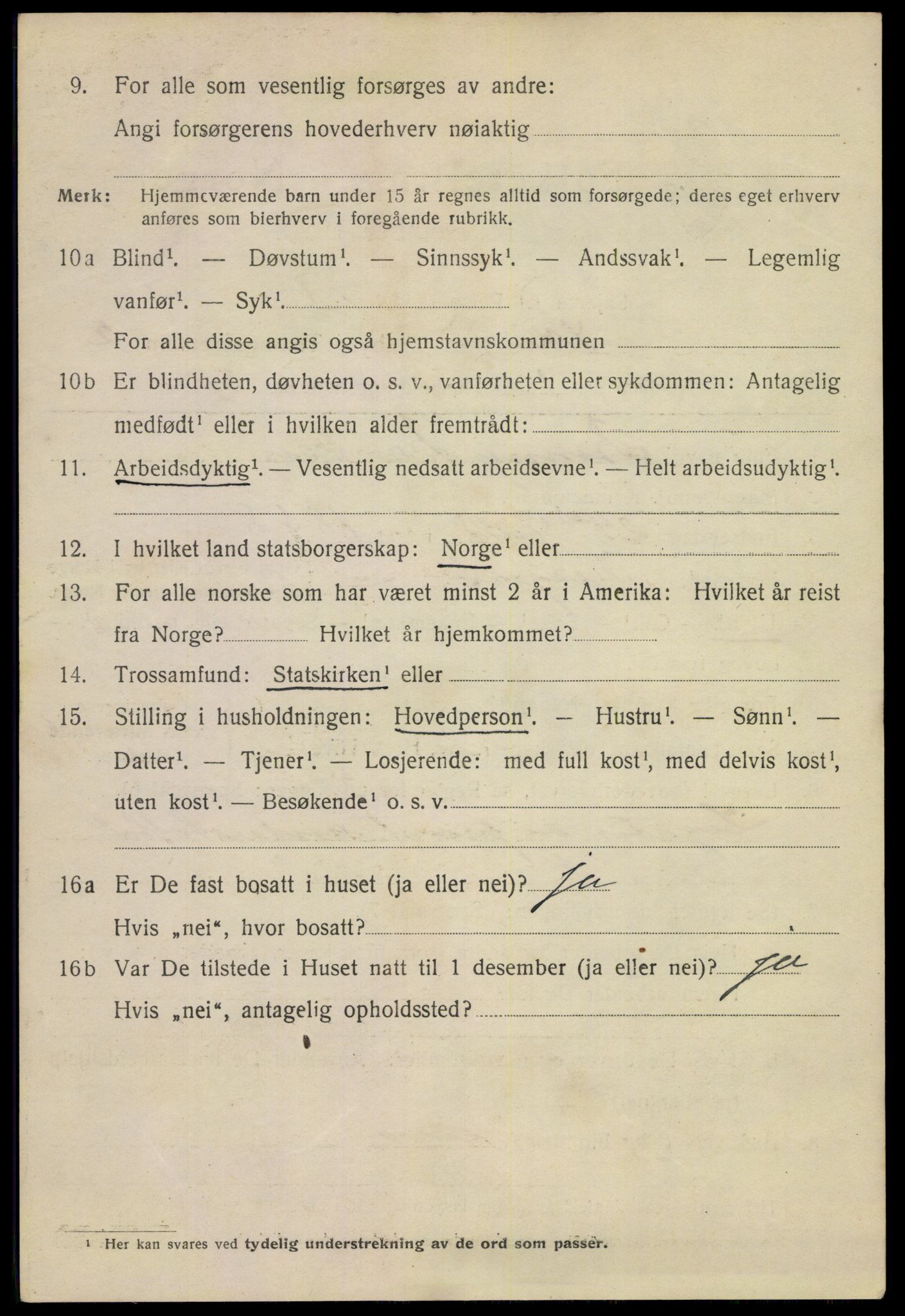 SAKO, 1920 census for Skien, 1920, p. 13535