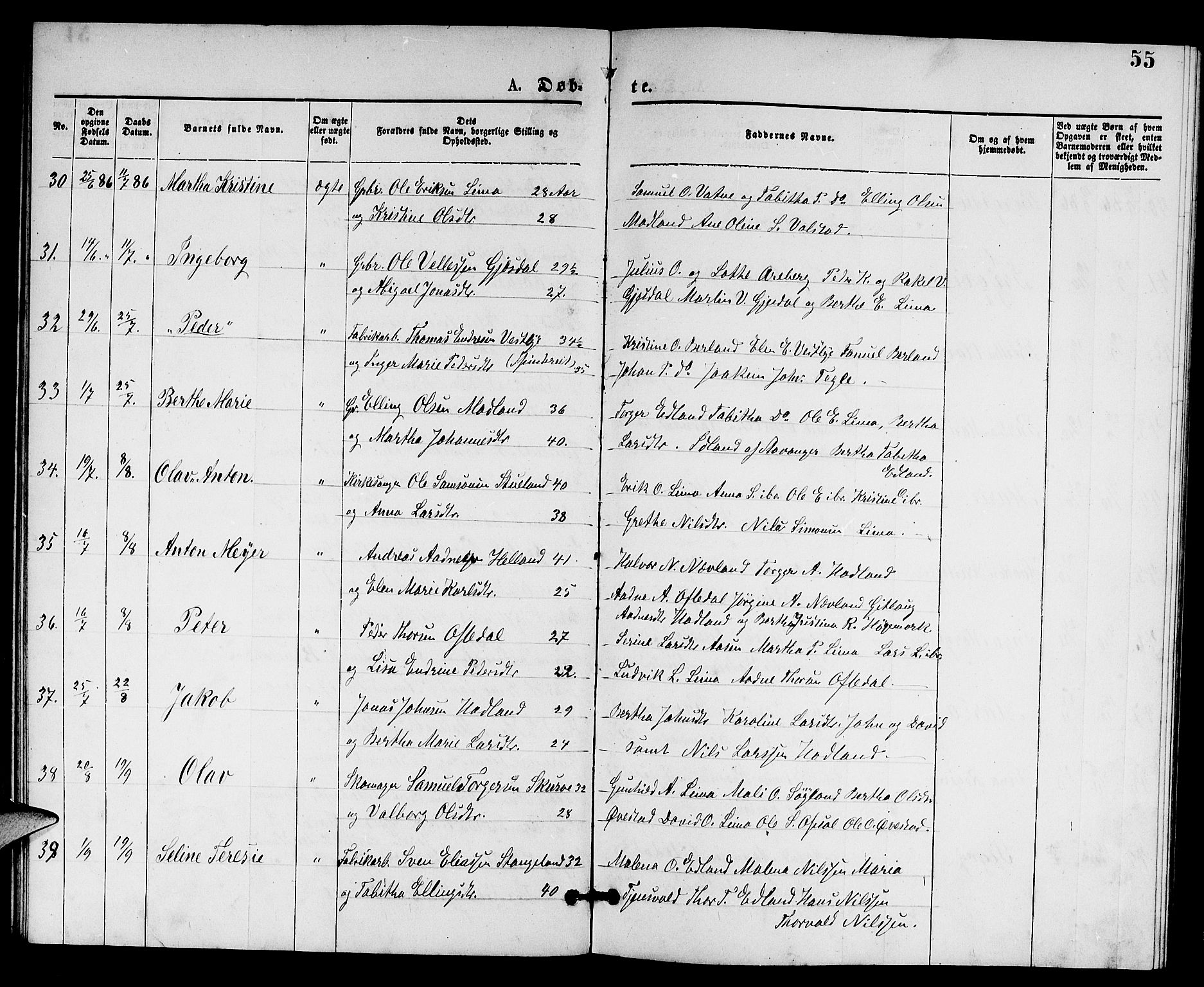 Lye sokneprestkontor, SAST/A-101794/001/30BB/L0005: Parish register (copy) no. B 5, 1875-1886, p. 55