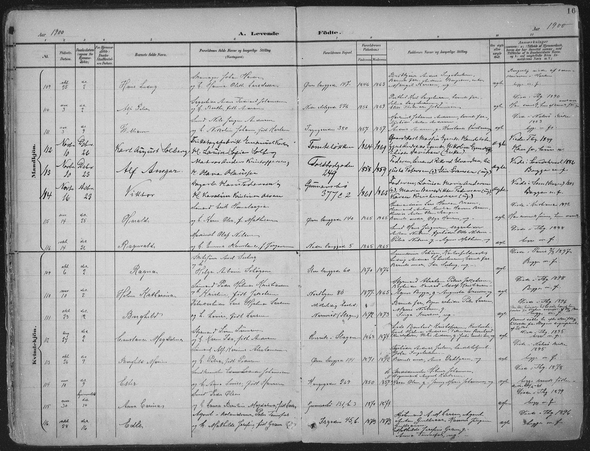 Tønsberg kirkebøker, SAKO/A-330/F/Fa/L0014: Parish register (official) no. I 14, 1900-1913, p. 16