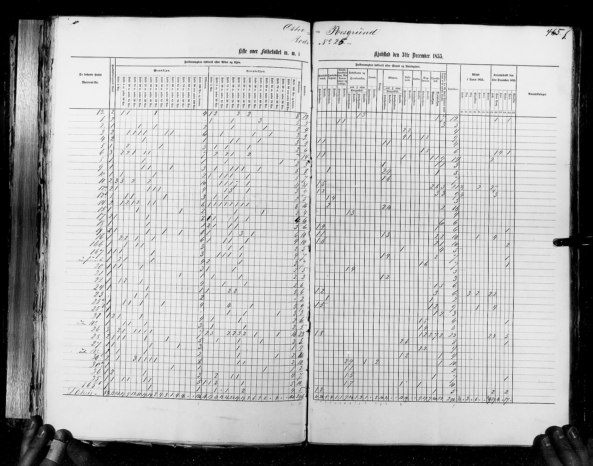 RA, Census 1855, vol. 7: Fredrikshald-Kragerø, 1855, p. 465