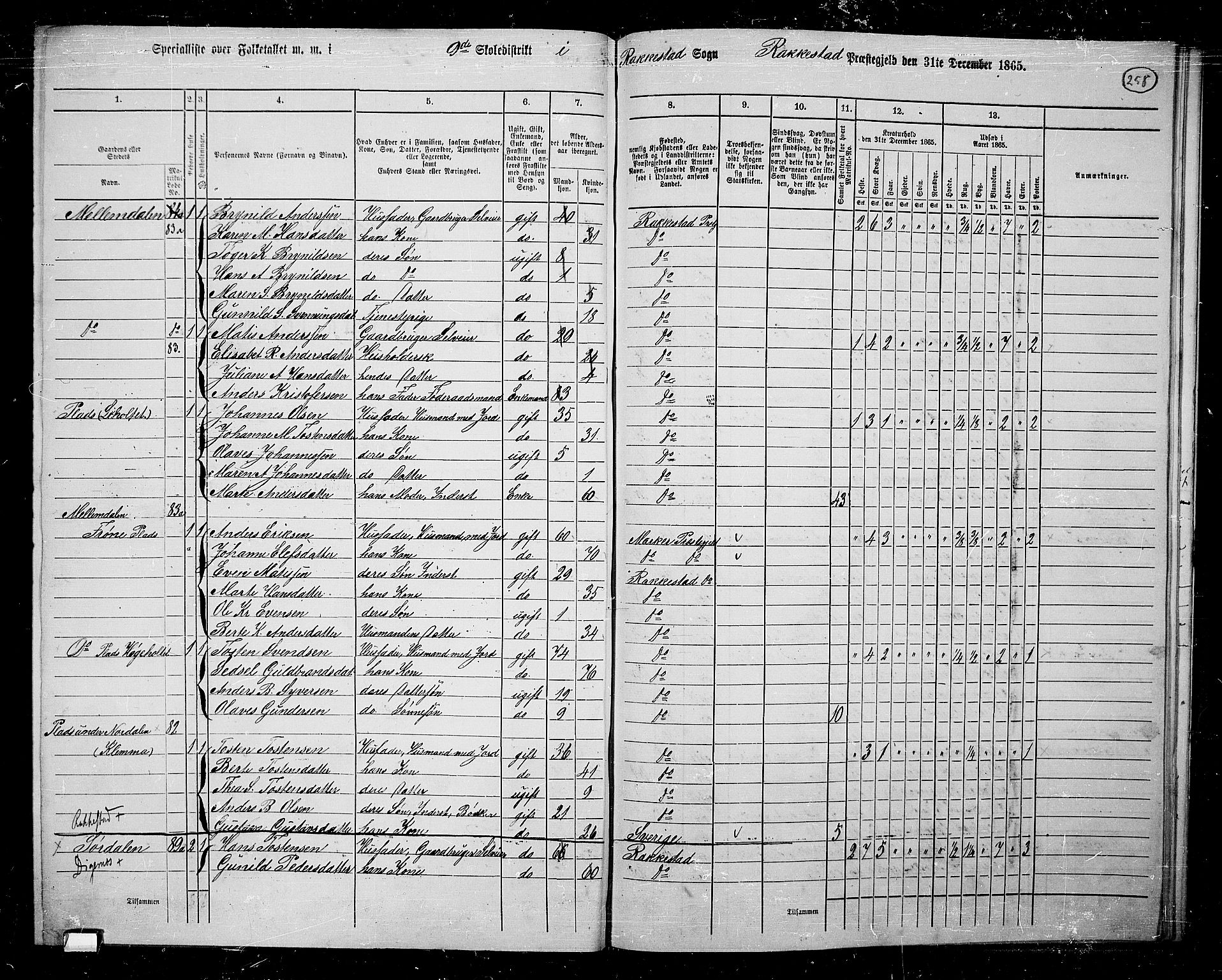 RA, 1865 census for Rakkestad, 1865, p. 247