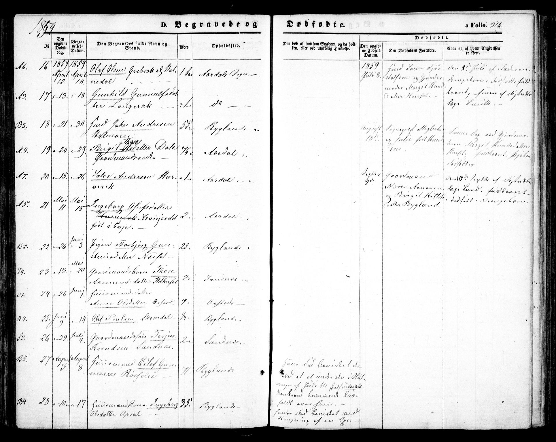 Bygland sokneprestkontor, SAK/1111-0006/F/Fa/Fab/L0005: Parish register (official) no. A 5, 1859-1873, p. 316