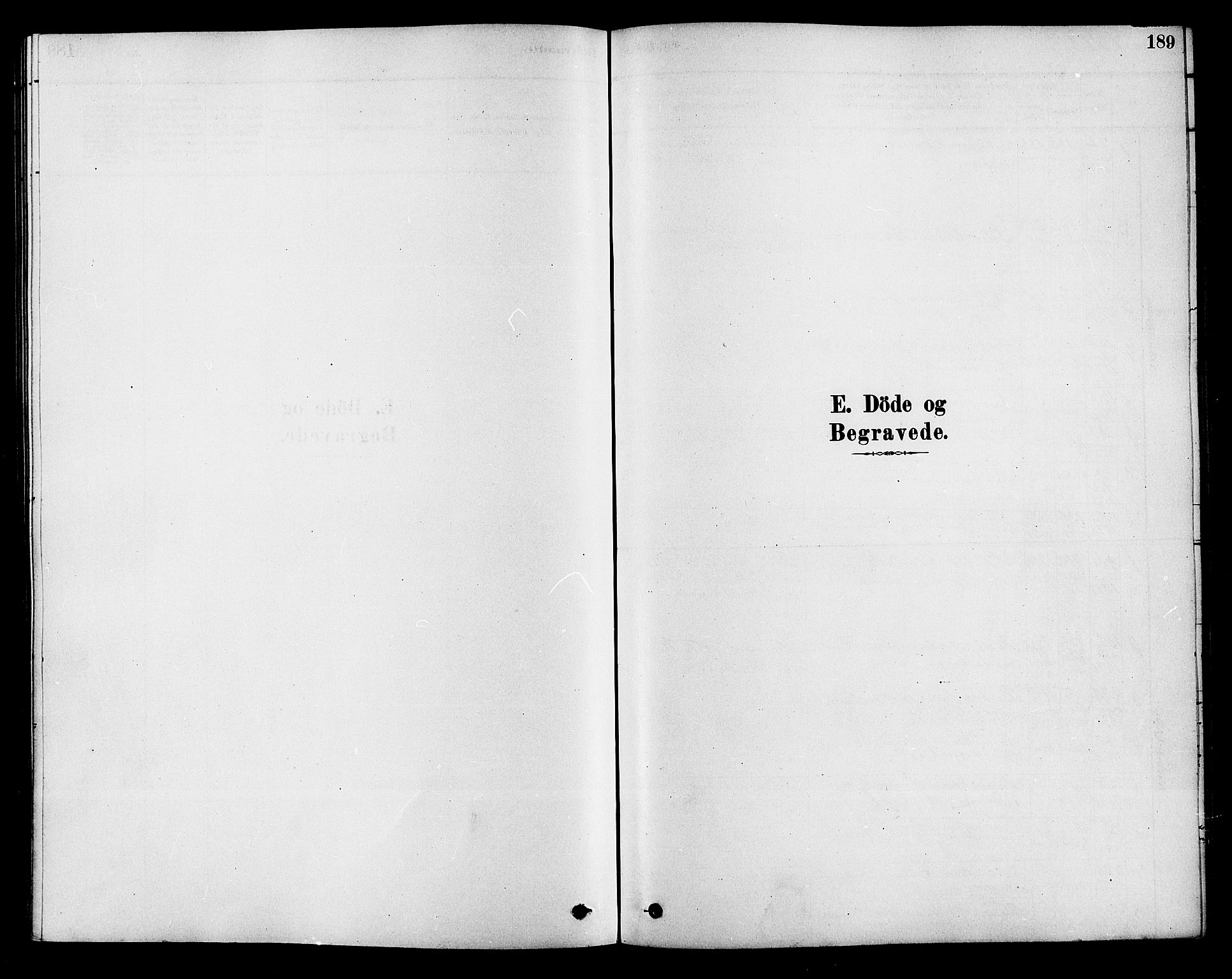 Hole kirkebøker, SAKO/A-228/F/Fa/L0008: Parish register (official) no. I 8, 1878-1891, p. 189
