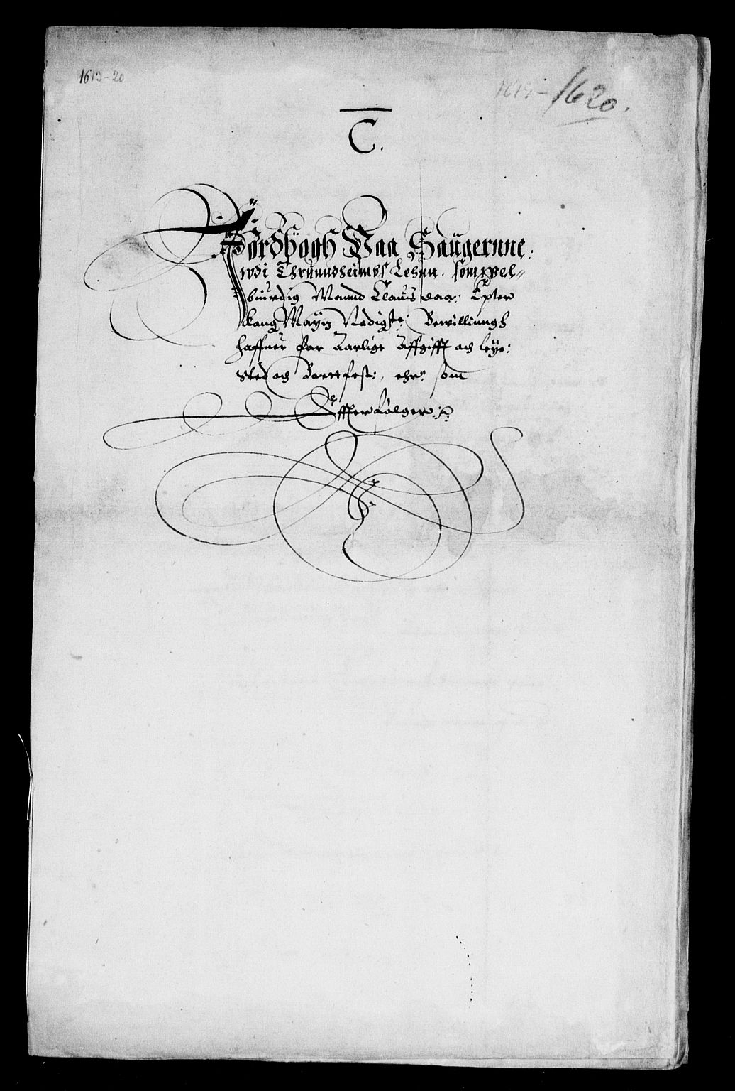 Rentekammeret inntil 1814, Reviderte regnskaper, Lensregnskaper, RA/EA-5023/R/Rb/Rbw/L0018: Trondheim len, 1618-1620