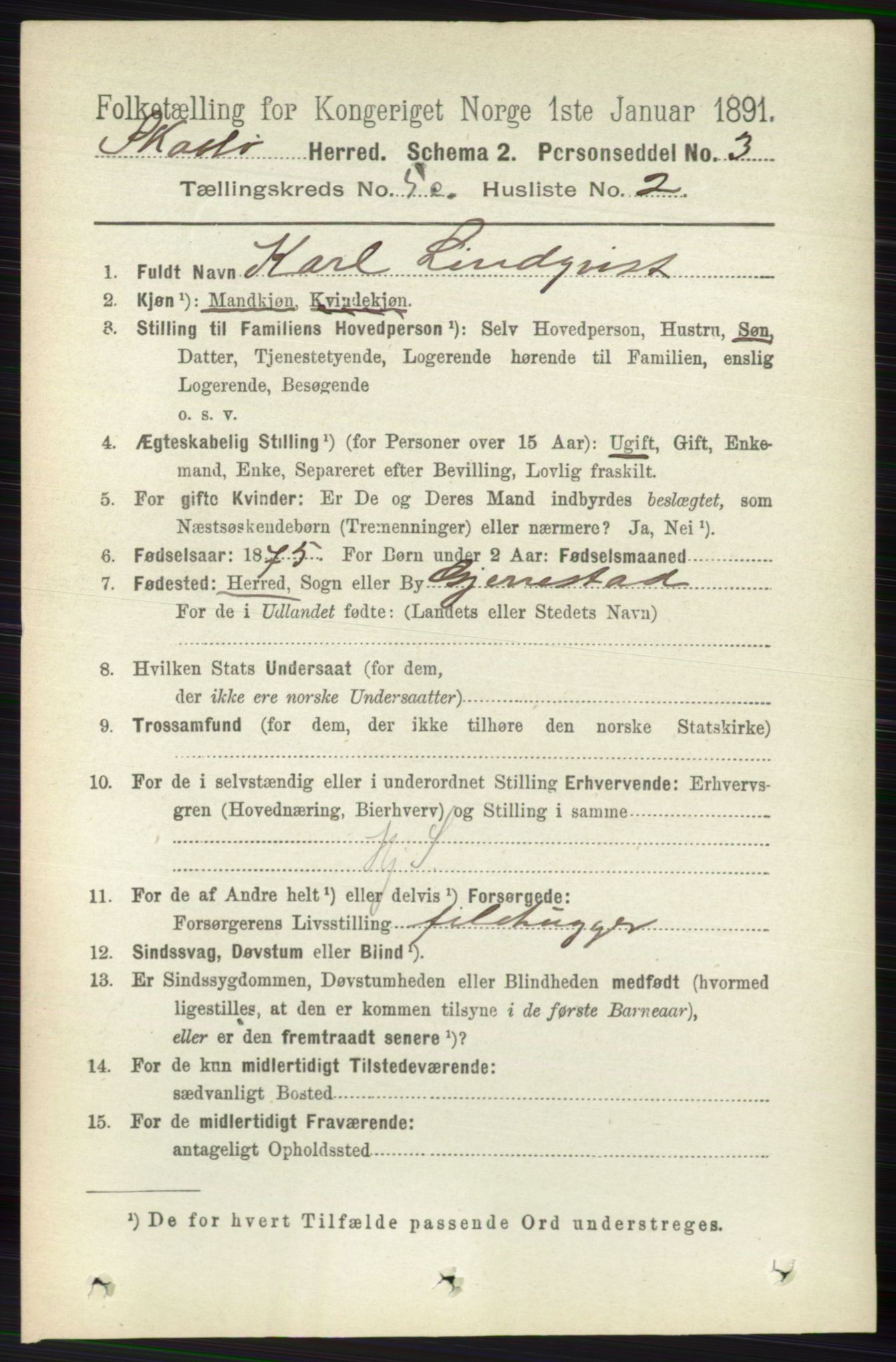 RA, 1891 census for 0815 Skåtøy, 1891, p. 2681