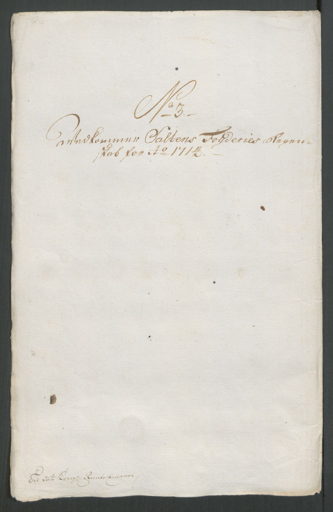 Rentekammeret inntil 1814, Reviderte regnskaper, Fogderegnskap, RA/EA-4092/R66/L4584: Fogderegnskap Salten, 1714, p. 79