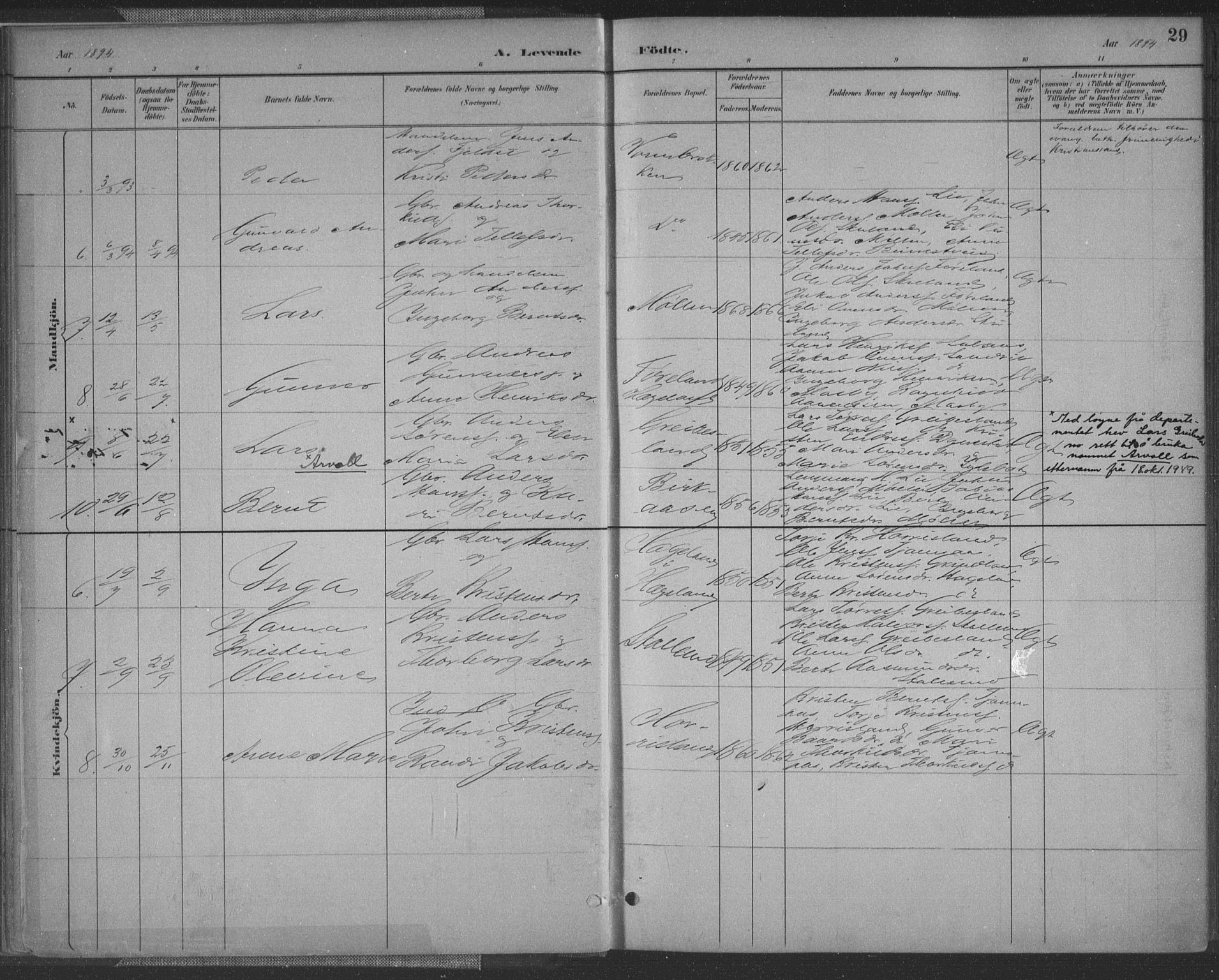 Vennesla sokneprestkontor, AV/SAK-1111-0045/Fa/Fac/L0009: Parish register (official) no. A 9, 1884-1901, p. 29