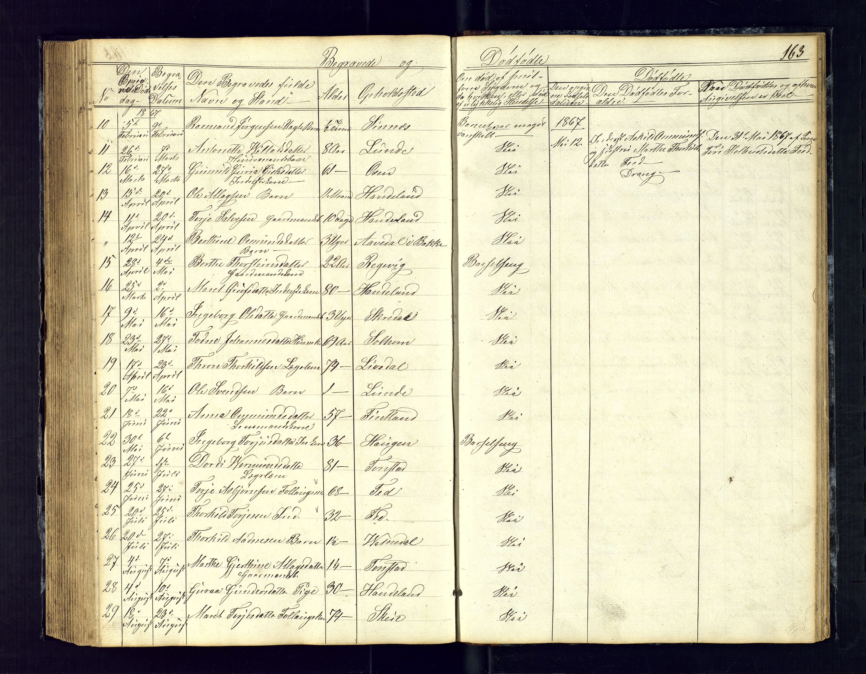 Sirdal sokneprestkontor, SAK/1111-0036/F/Fb/Fbb/L0002: Parish register (copy) no. B-2, 1848-1878, p. 163