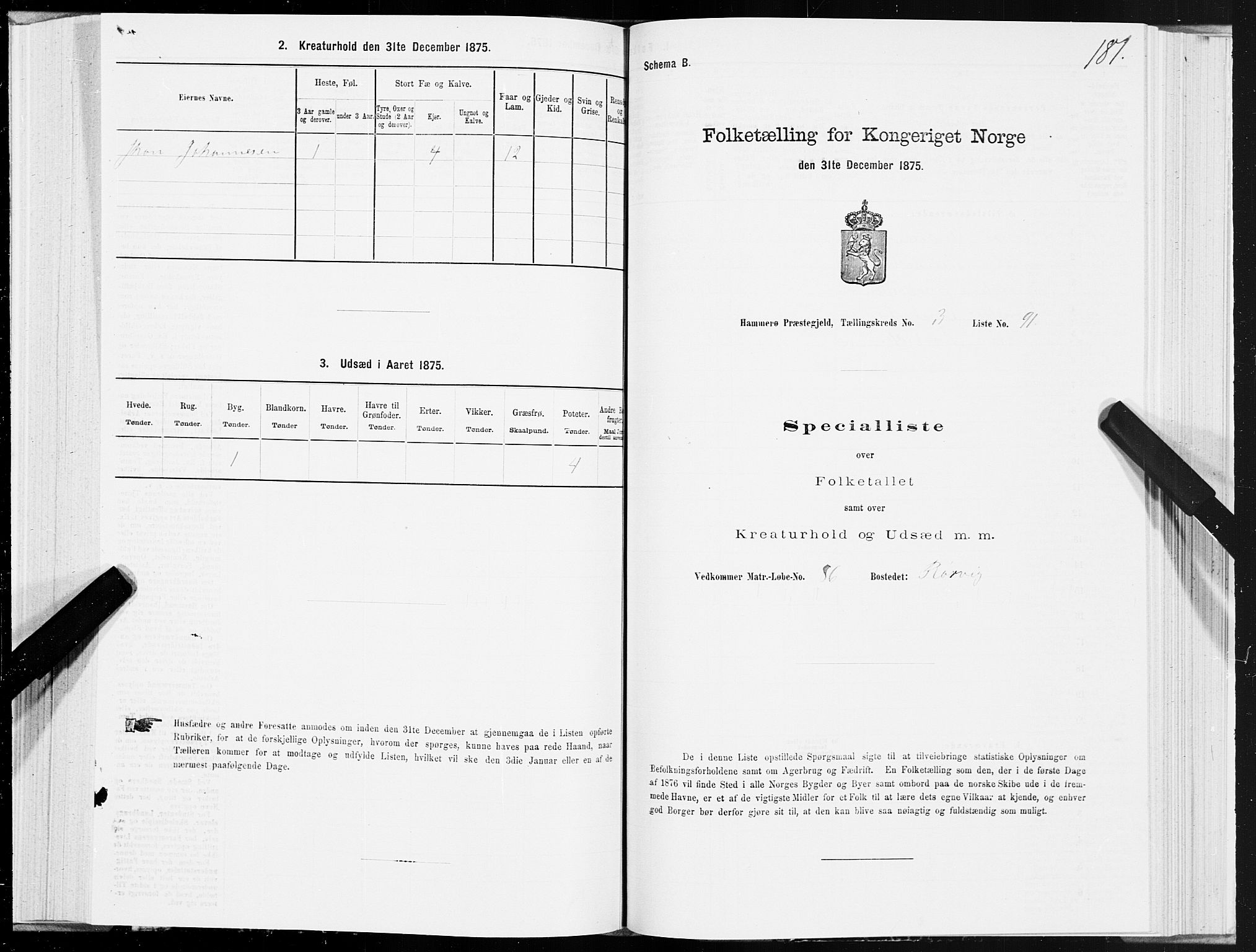 SAT, 1875 census for 1849P Hamarøy, 1875, p. 2181