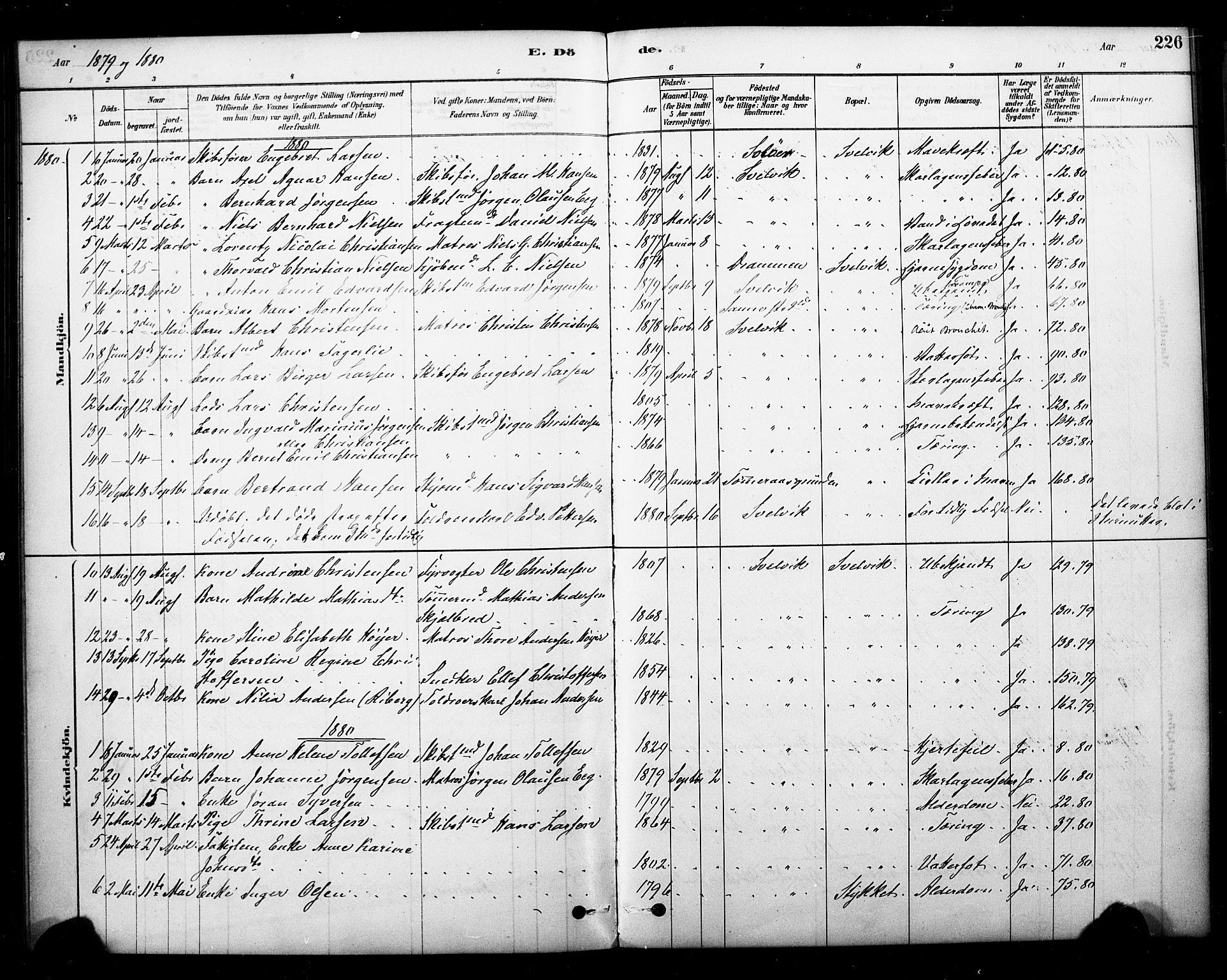 Strømm kirkebøker, AV/SAKO-A-322/F/Fb/L0001: Parish register (official) no. II 1, 1878-1899, p. 226