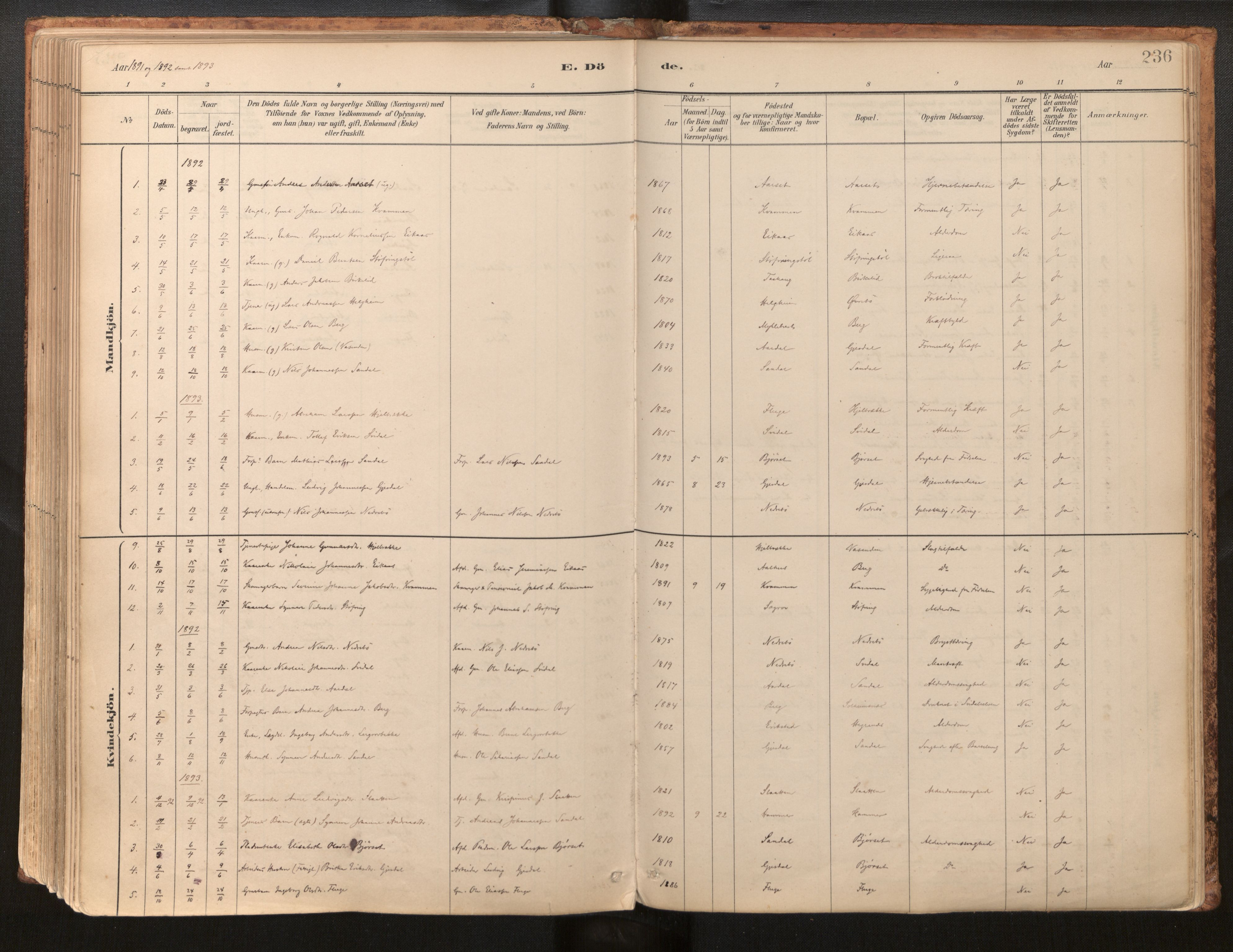 Jølster sokneprestembete, AV/SAB-A-80701/H/Haa/Haab/L0001: Parish register (official) no. B 1, 1882-1930, p. 236