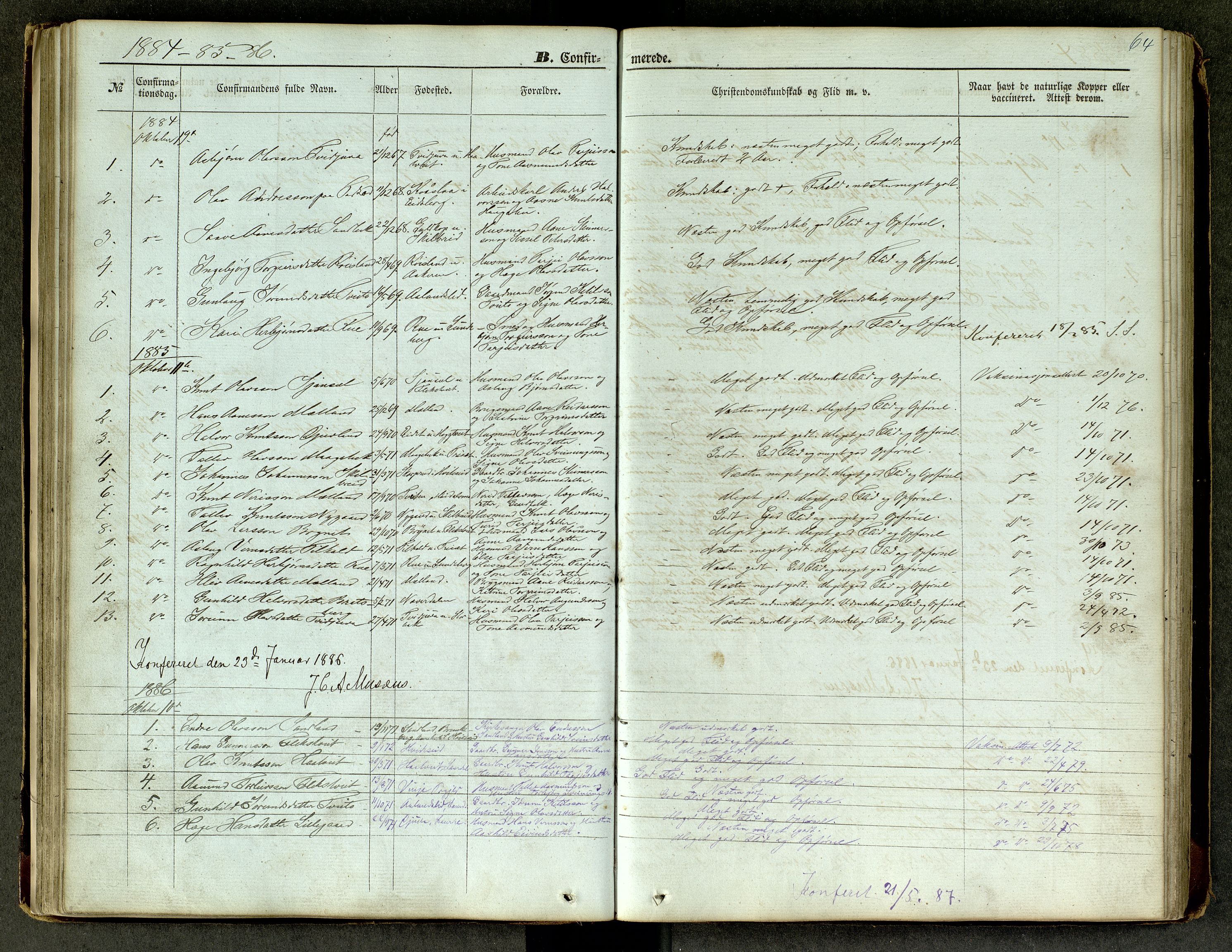 Lårdal kirkebøker, SAKO/A-284/G/Ga/L0002: Parish register (copy) no. I 2, 1861-1890, p. 64