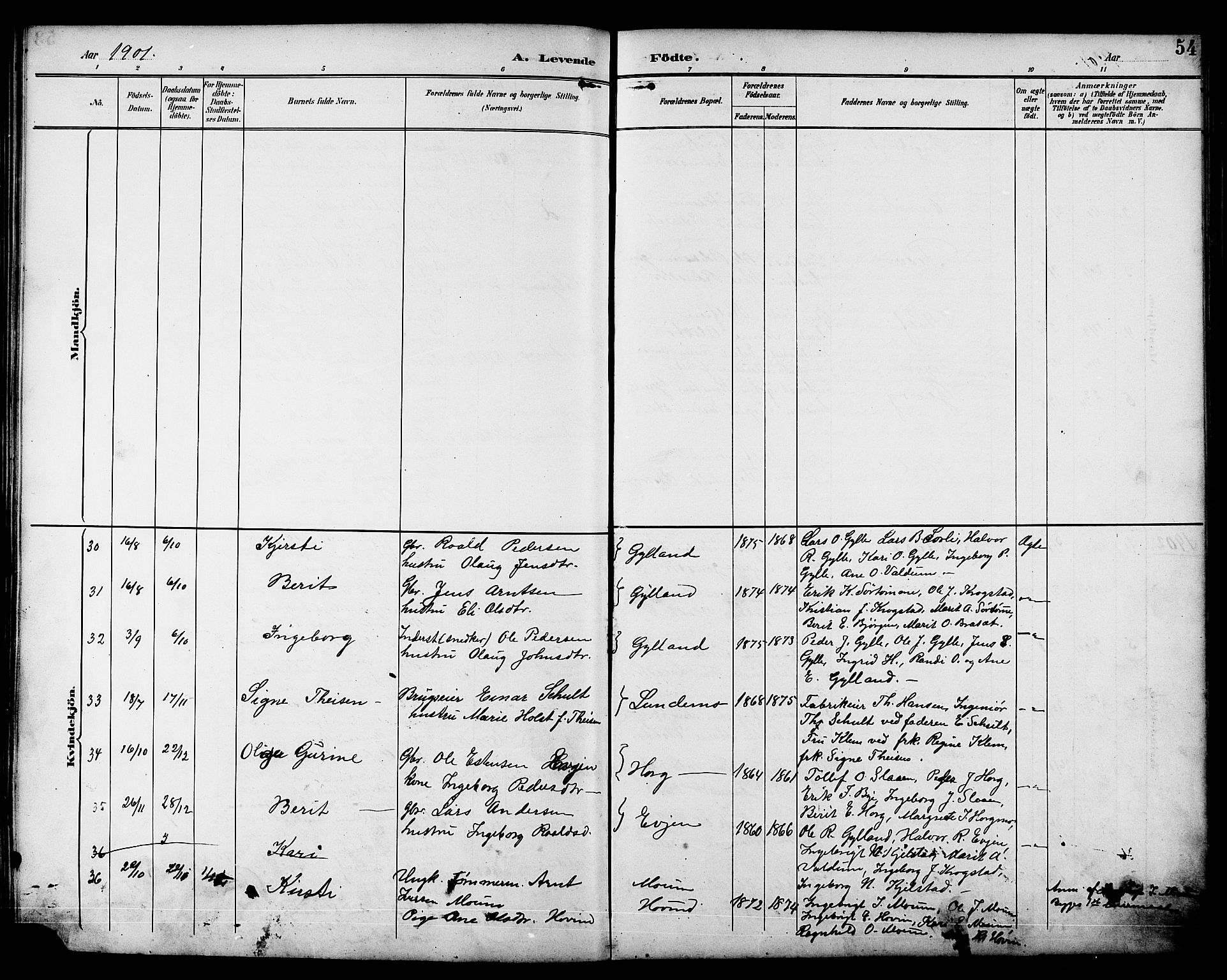Ministerialprotokoller, klokkerbøker og fødselsregistre - Sør-Trøndelag, SAT/A-1456/692/L1111: Parish register (copy) no. 692C06, 1890-1904, p. 54