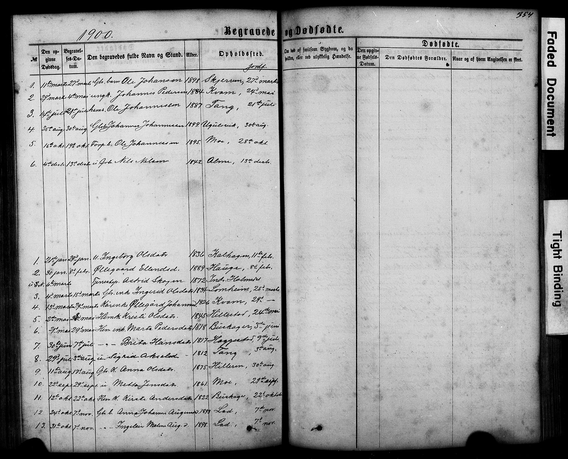 Hafslo sokneprestembete, SAB/A-80301/H/Hab/Haba/L0001: Parish register (copy) no. A 1, 1866-1908, p. 354