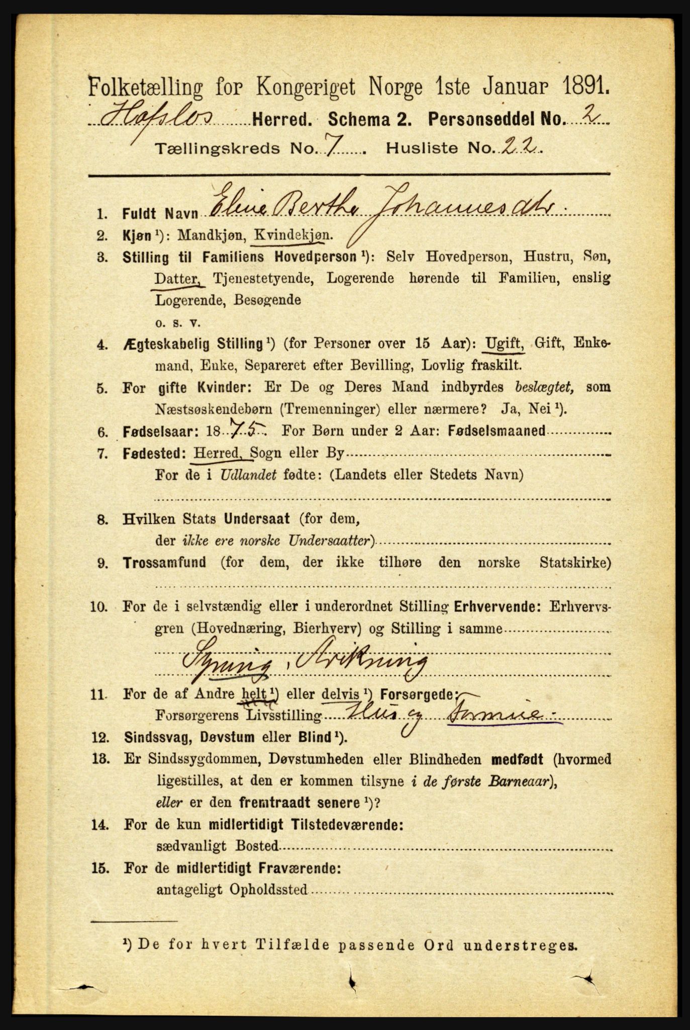 RA, 1891 census for 1425 Hafslo, 1891, p. 2859