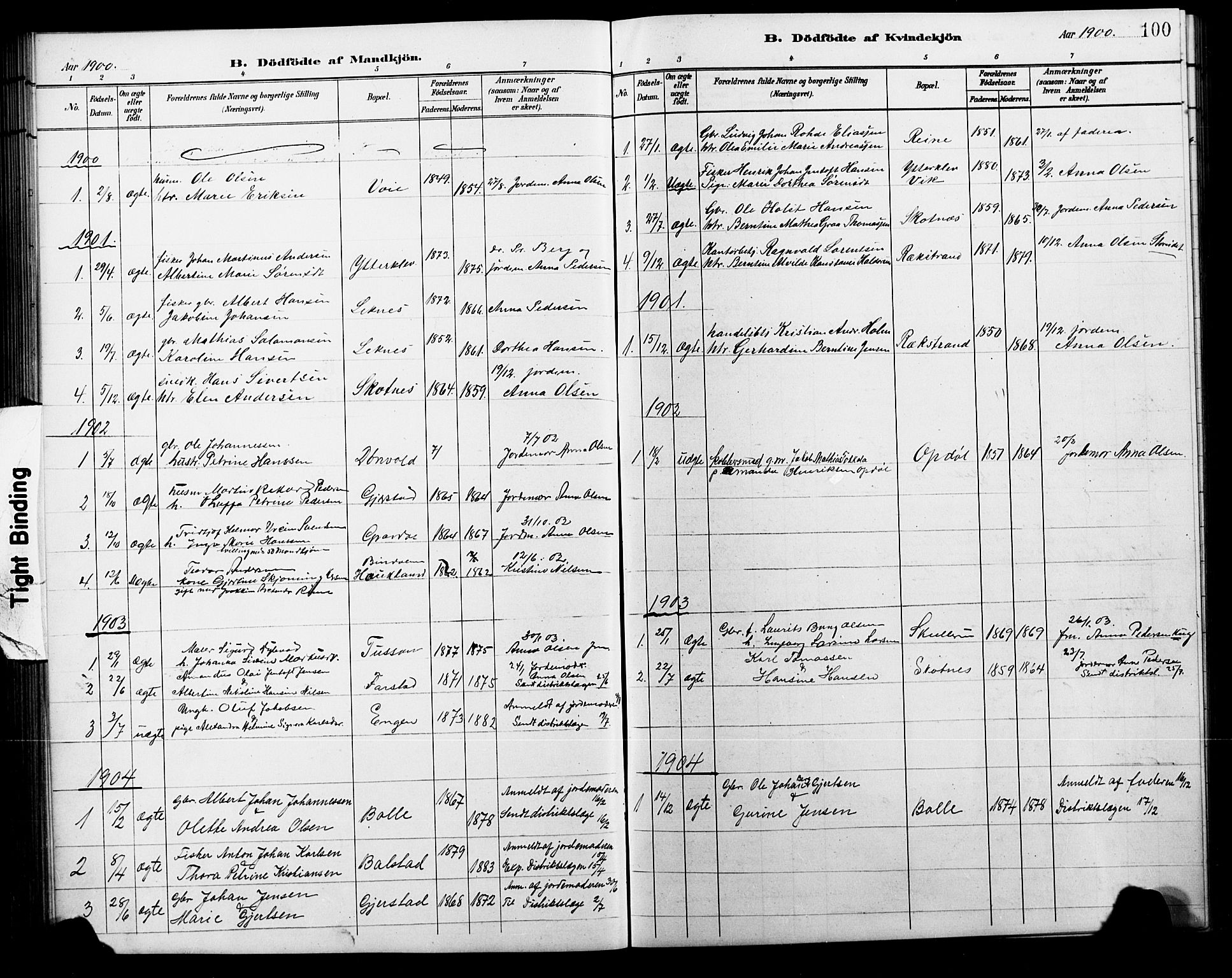 Ministerialprotokoller, klokkerbøker og fødselsregistre - Nordland, AV/SAT-A-1459/881/L1168: Parish register (copy) no. 881C05, 1900-1911, p. 100