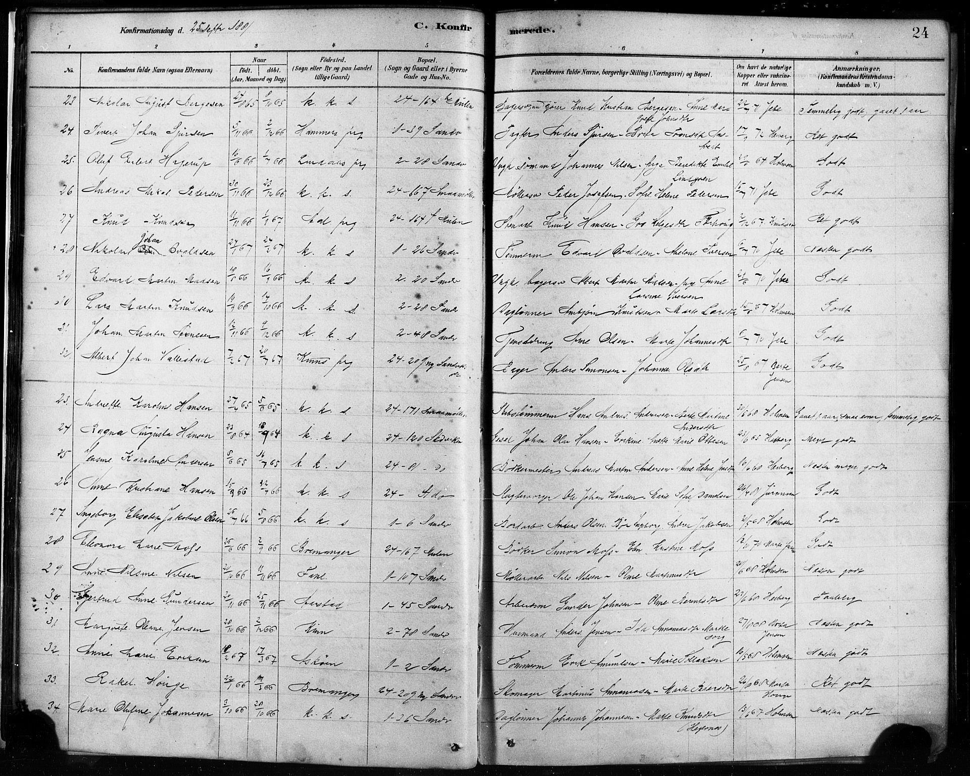 Sandviken Sokneprestembete, AV/SAB-A-77601/H/Ha/L0002: Parish register (official) no. A 2, 1878-1896, p. 24
