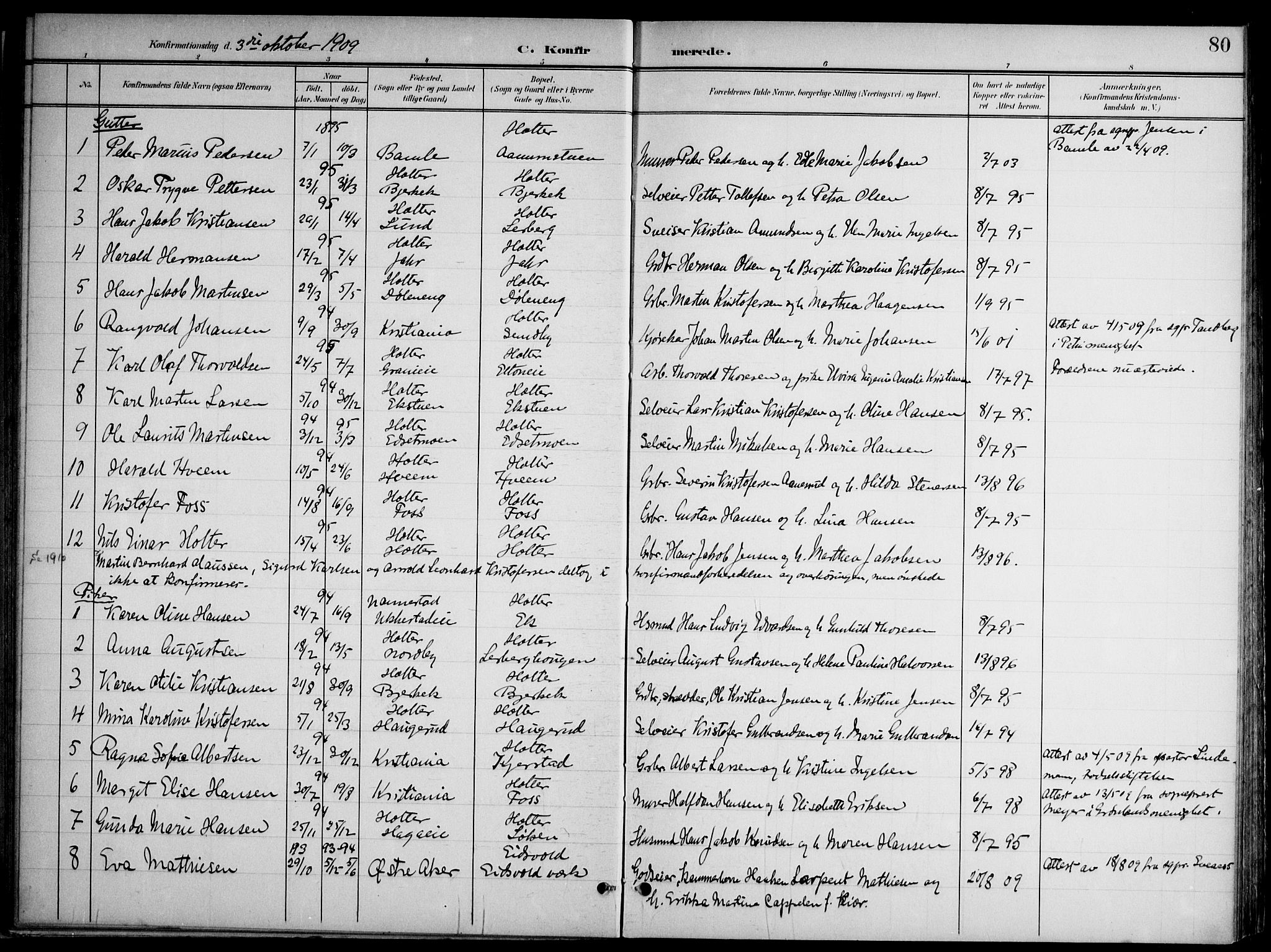 Nannestad prestekontor Kirkebøker, AV/SAO-A-10414a/G/Gb/L0001: Parish register (copy) no. II 1, 1901-1917, p. 80