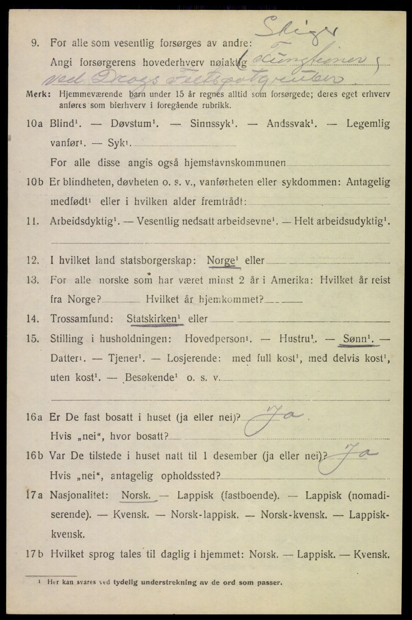 SAT, 1920 census for Tysfjord, 1920, p. 5868