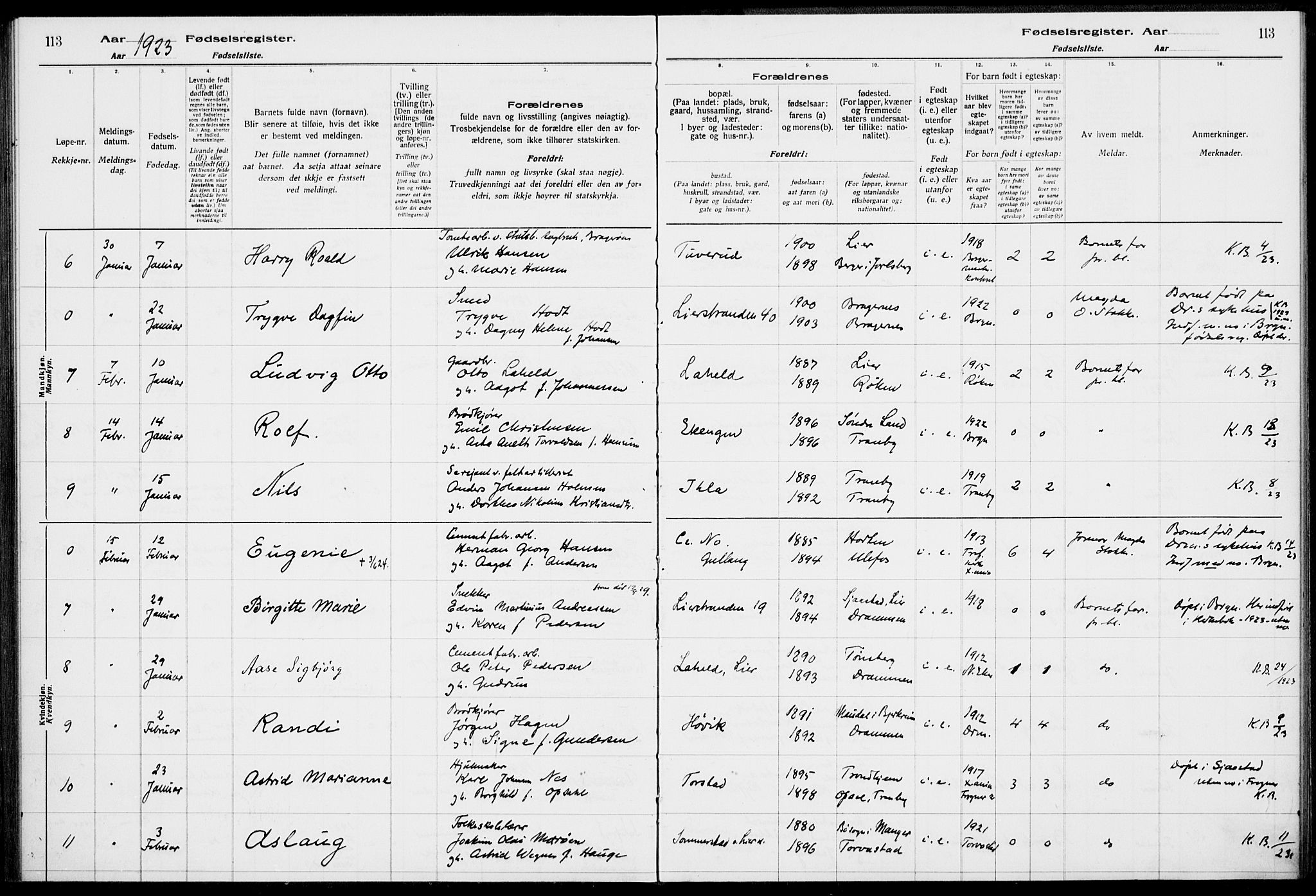 Lier kirkebøker, AV/SAKO-A-230/J/Ja/L0001: Birth register no. 1, 1916-1928, p. 113