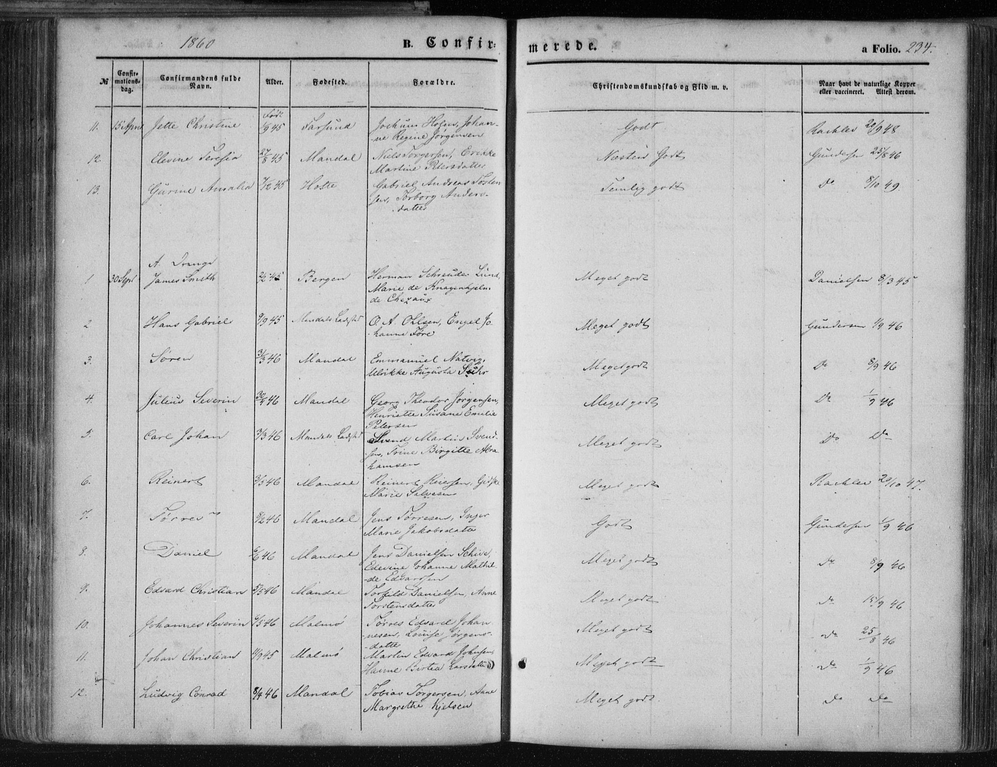 Mandal sokneprestkontor, AV/SAK-1111-0030/F/Fa/Faa/L0014: Parish register (official) no. A 14, 1859-1872, p. 234