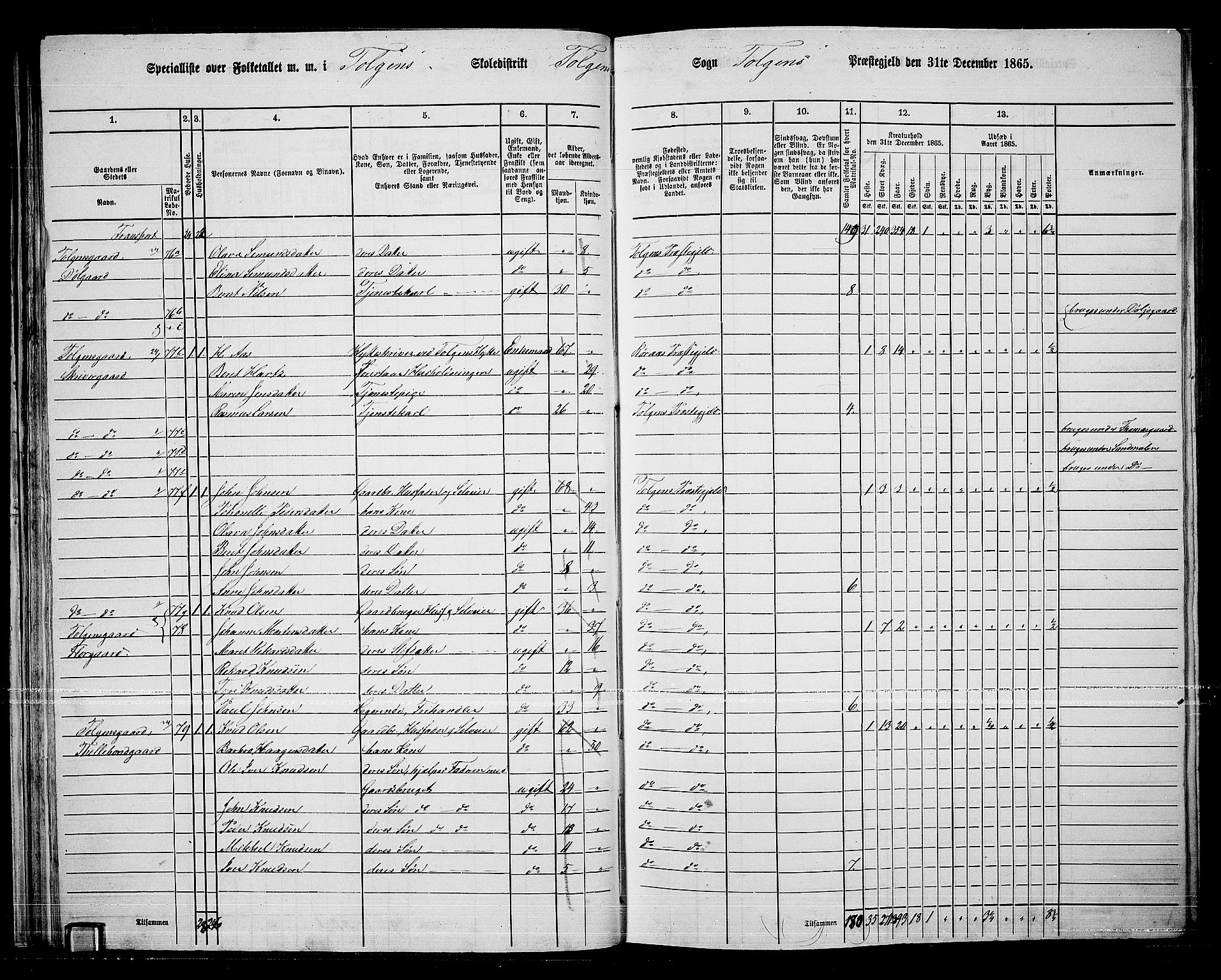 RA, 1865 census for Tolga, 1865, p. 42