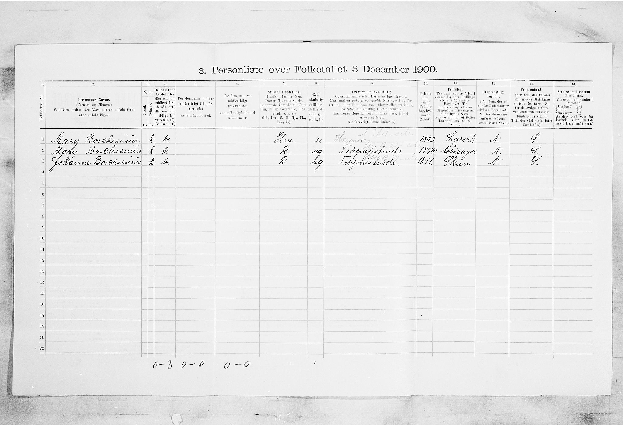 SAKO, 1900 census for Skien, 1900, p. 3305