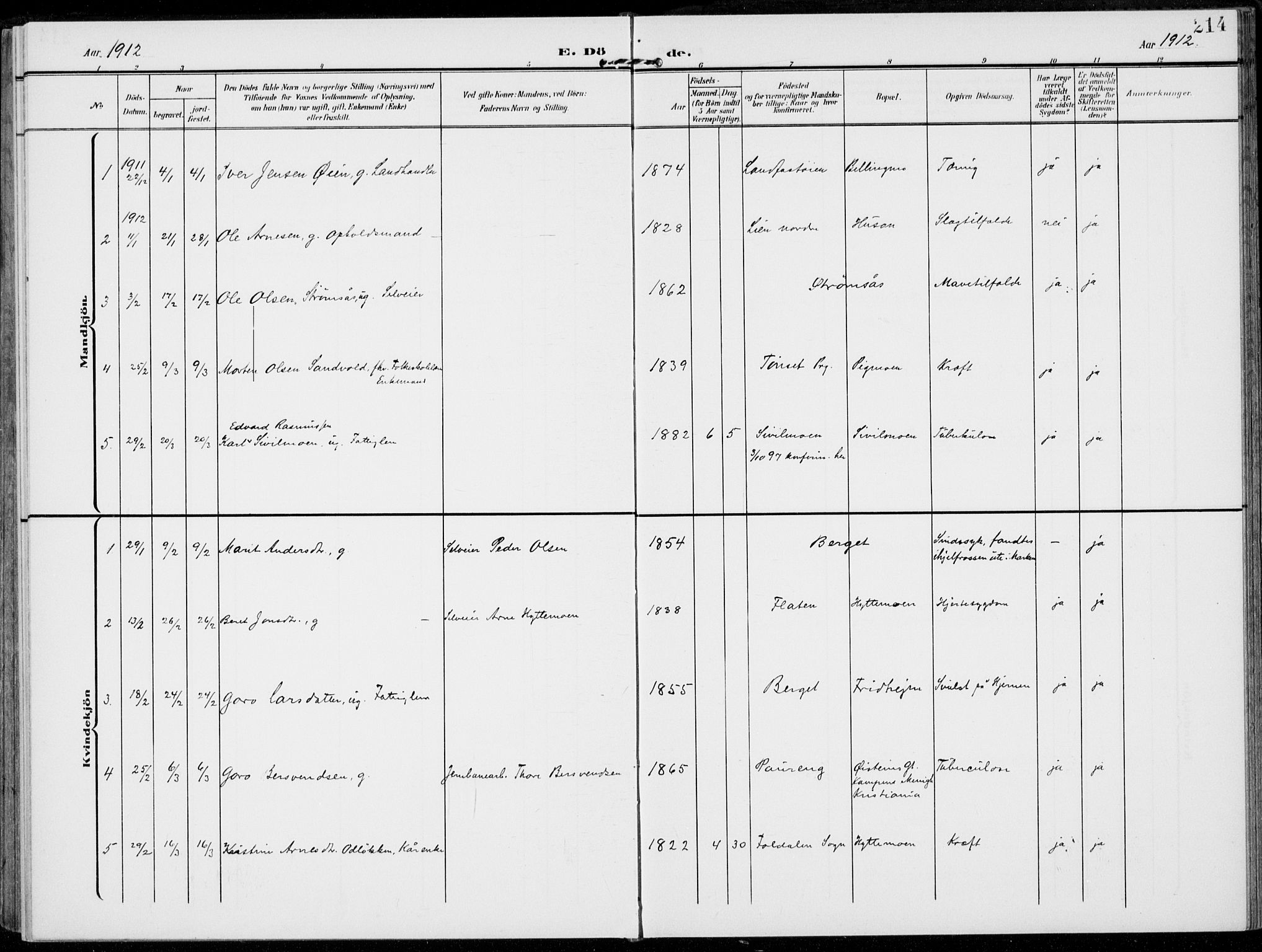 Alvdal prestekontor, SAH/PREST-060/H/Ha/Haa/L0004: Parish register (official) no. 4, 1907-1919, p. 214