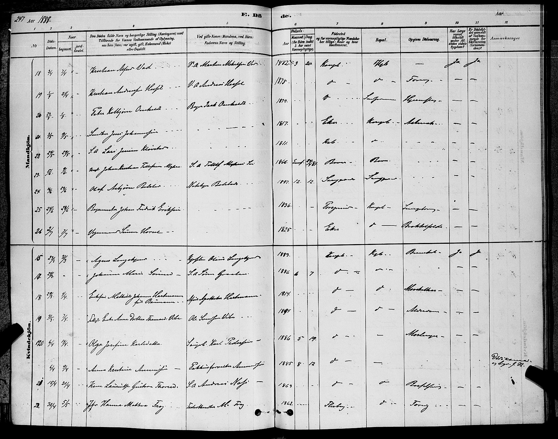 Kongsberg kirkebøker, AV/SAKO-A-22/G/Ga/L0005: Parish register (copy) no. 5, 1878-1889, p. 247