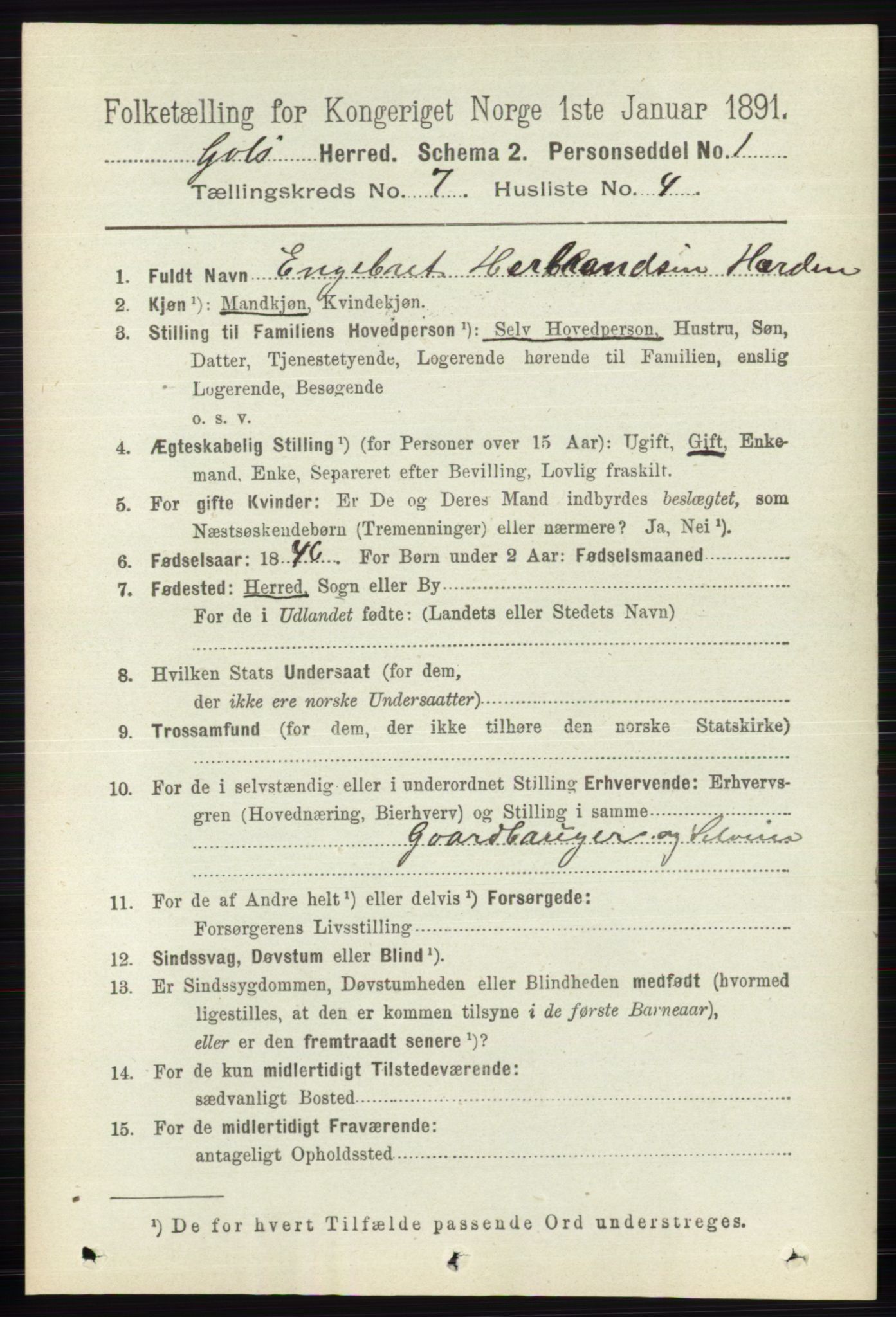 RA, 1891 census for 0617 Gol og Hemsedal, 1891, p. 2815