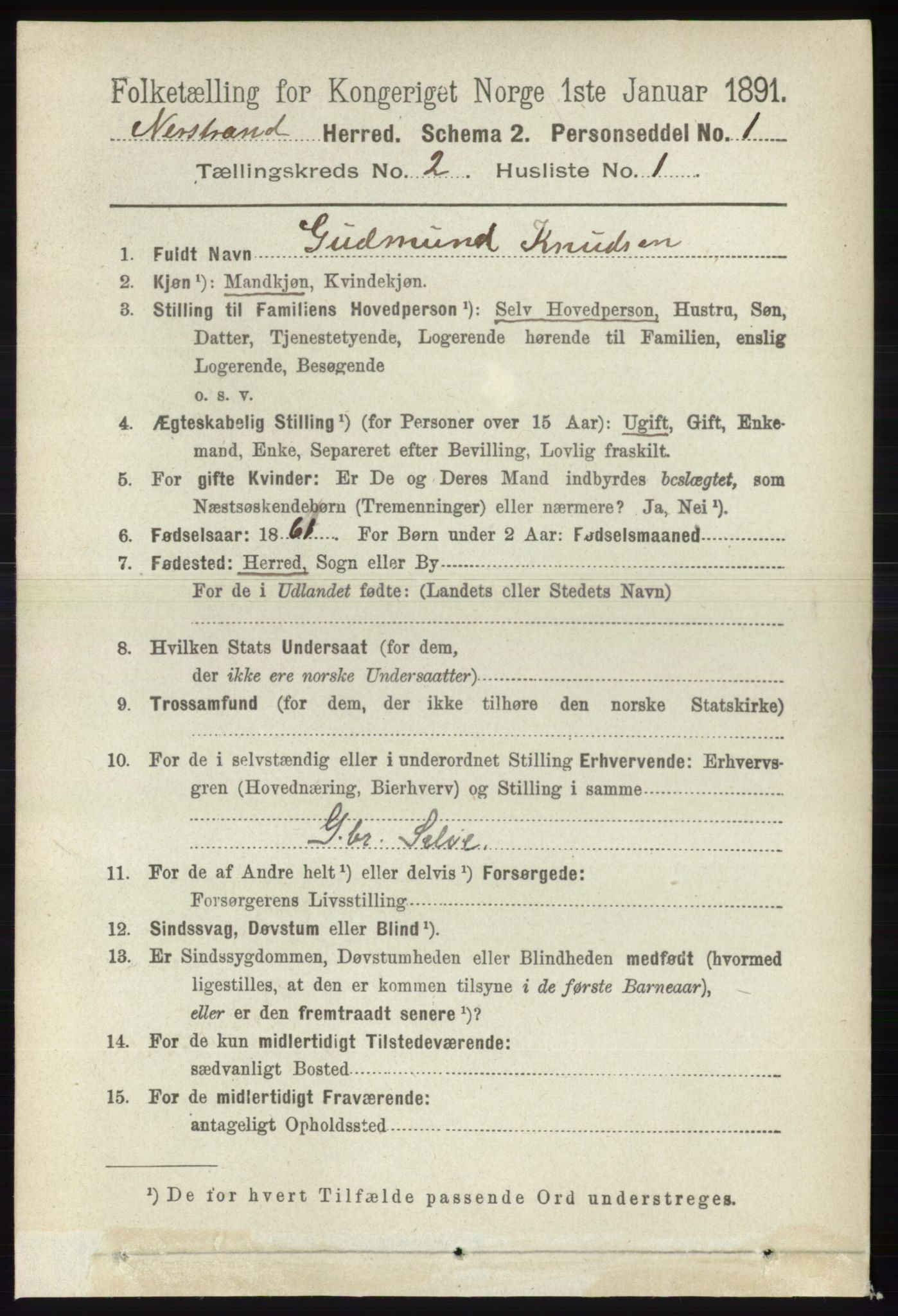 RA, 1891 census for 1139 Nedstrand, 1891, p. 246