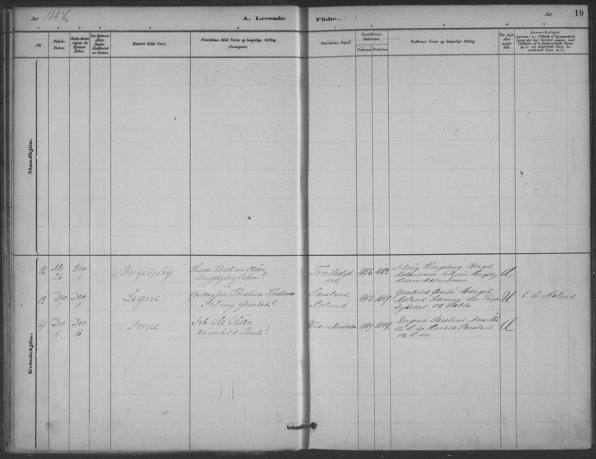 Hjartdal kirkebøker, SAKO/A-270/F/Fa/L0010: Parish register (official) no. I 10, 1880-1929, p. 19