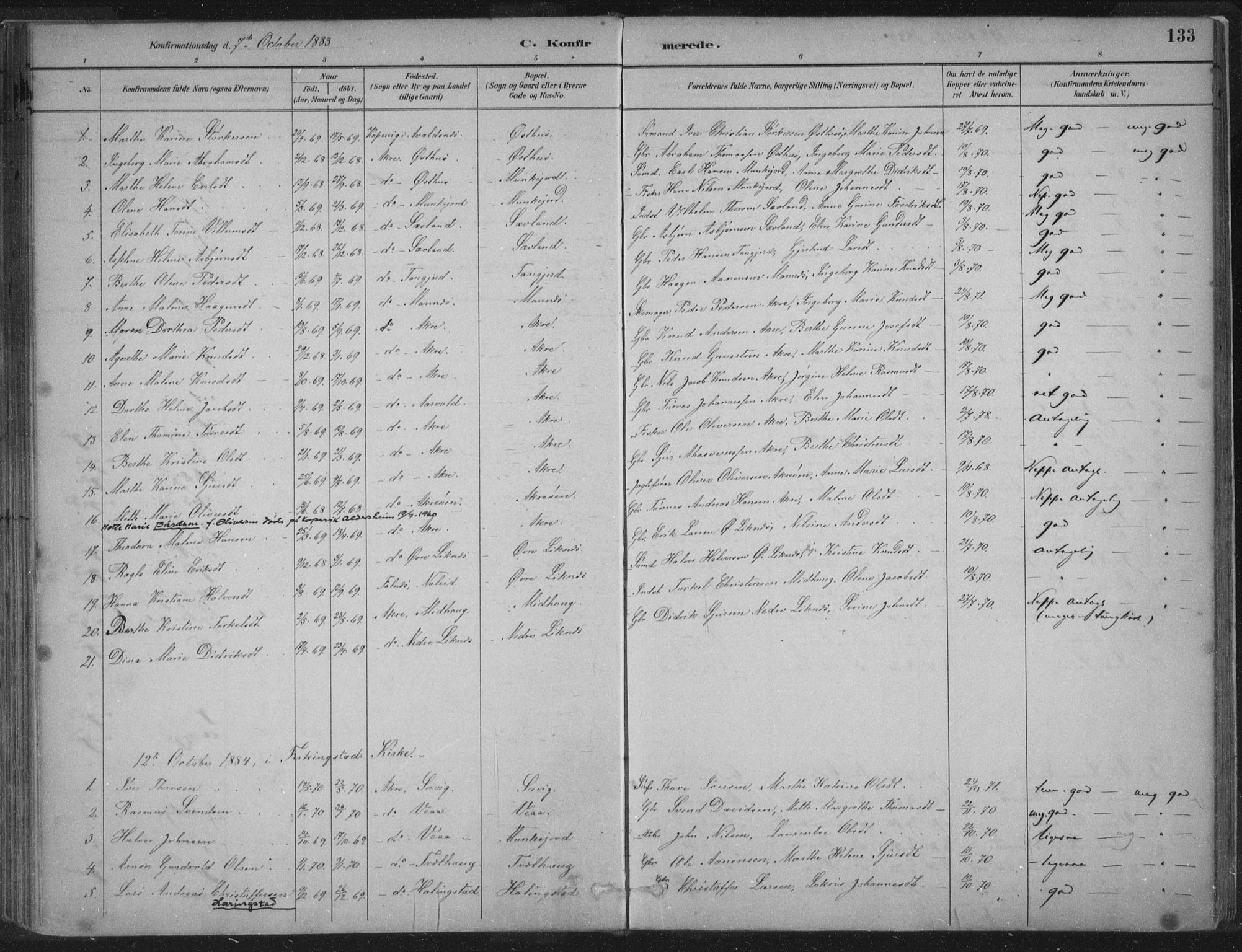 Kopervik sokneprestkontor, SAST/A-101850/H/Ha/Haa/L0004: Parish register (official) no. A 4, 1882-1905, p. 133