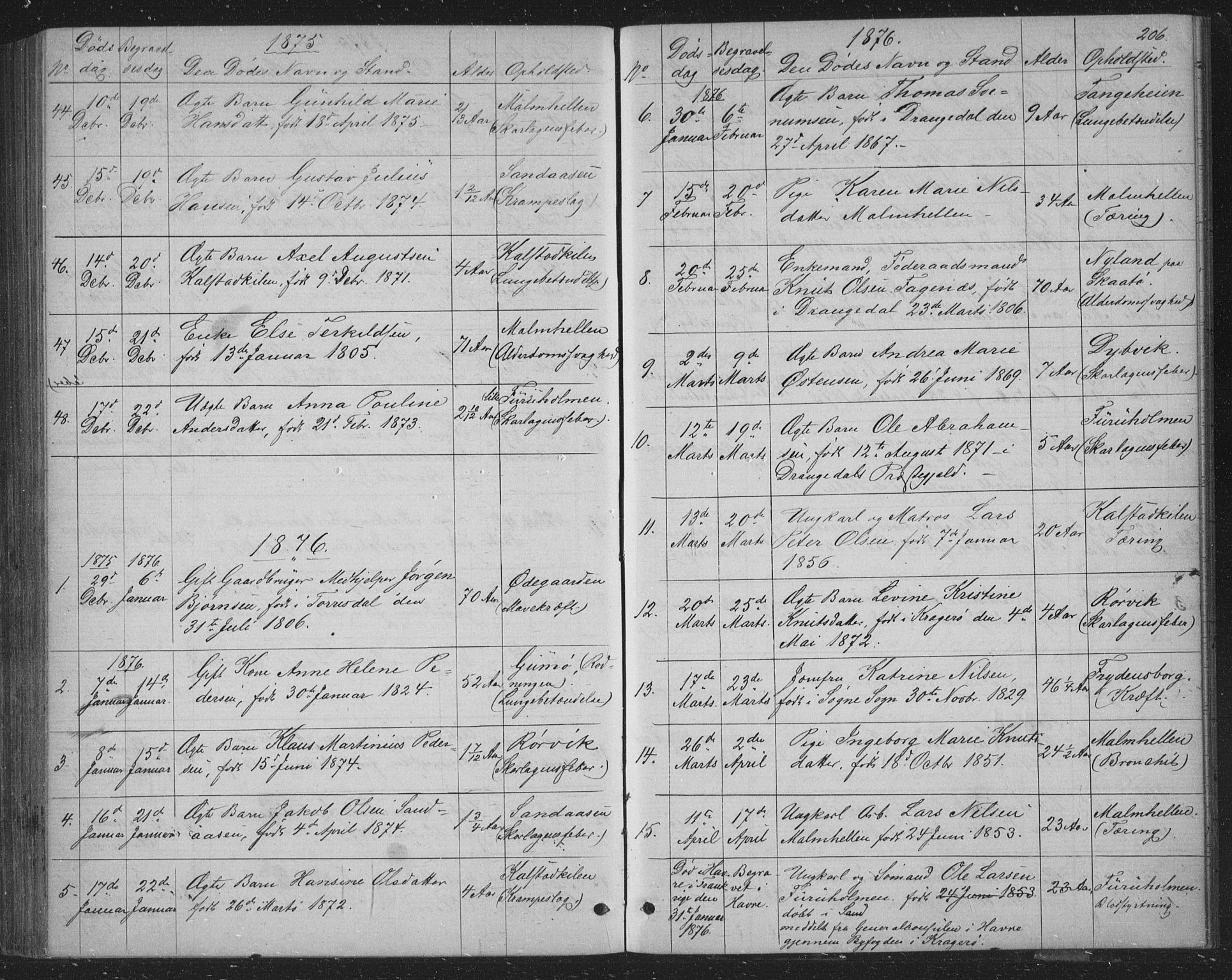 Skåtøy kirkebøker, SAKO/A-304/G/Ga/L0002: Parish register (copy) no. I 2, 1872-1884, p. 206
