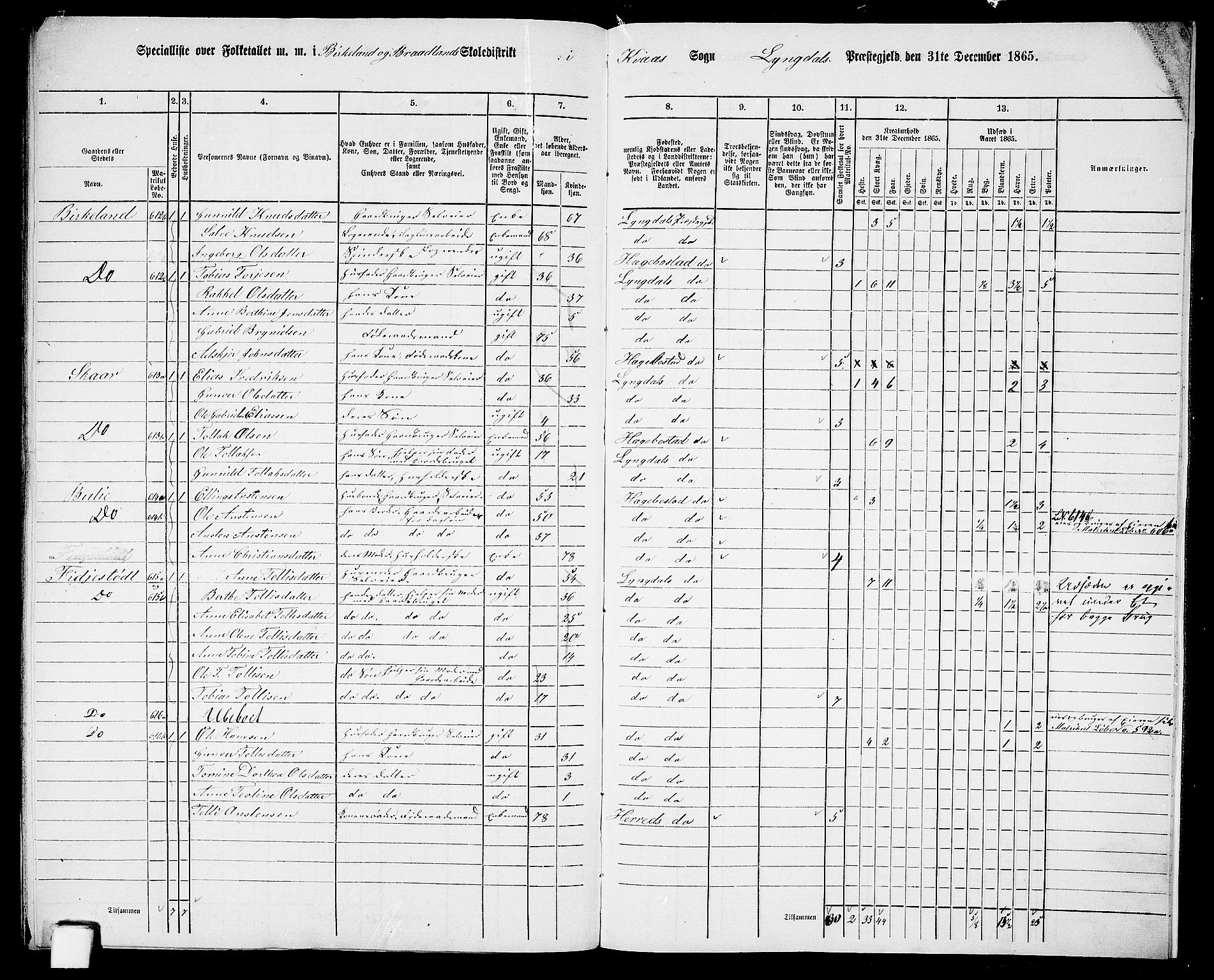 RA, 1865 census for Lyngdal, 1865, p. 248