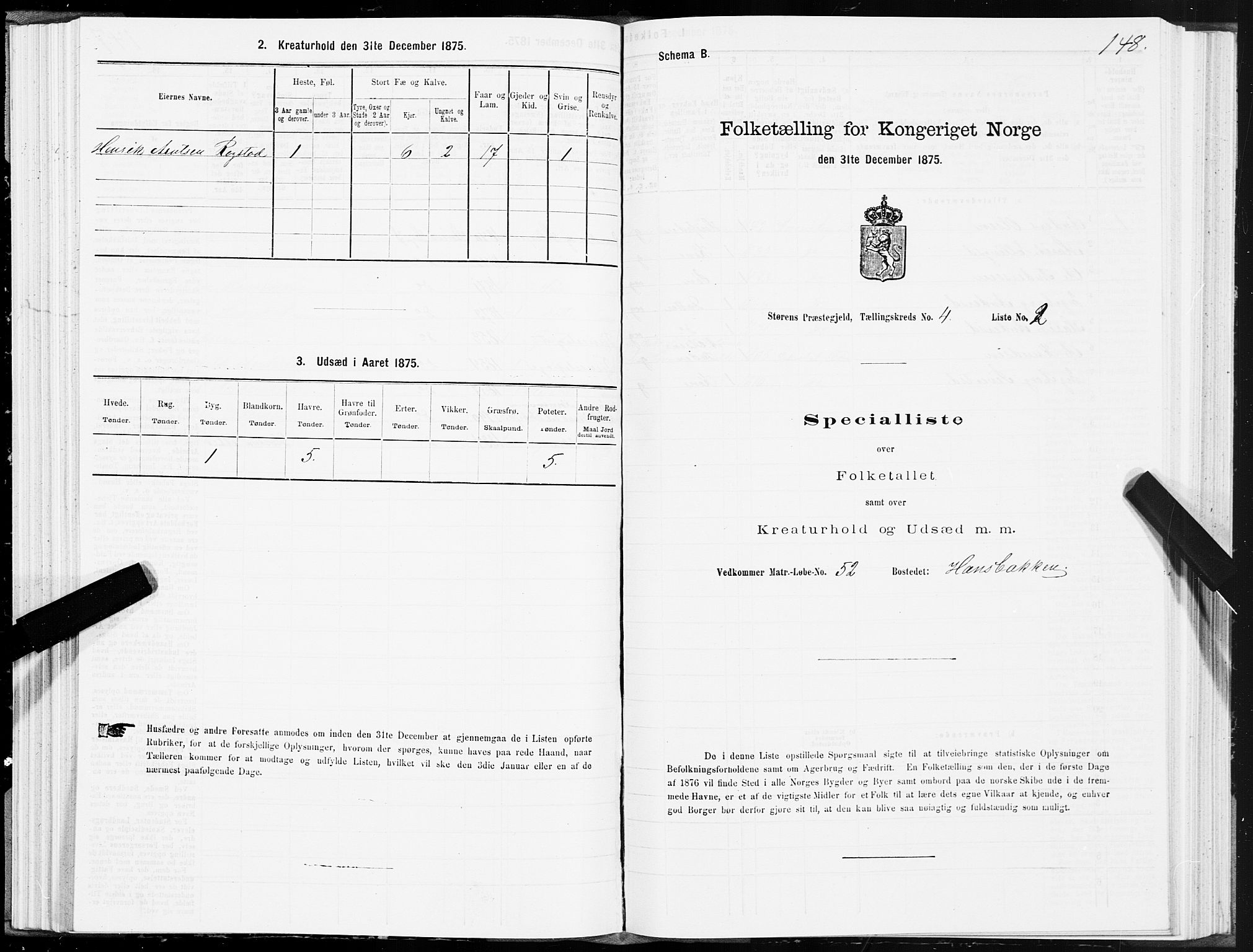 SAT, 1875 census for 1648P Støren, 1875, p. 2148