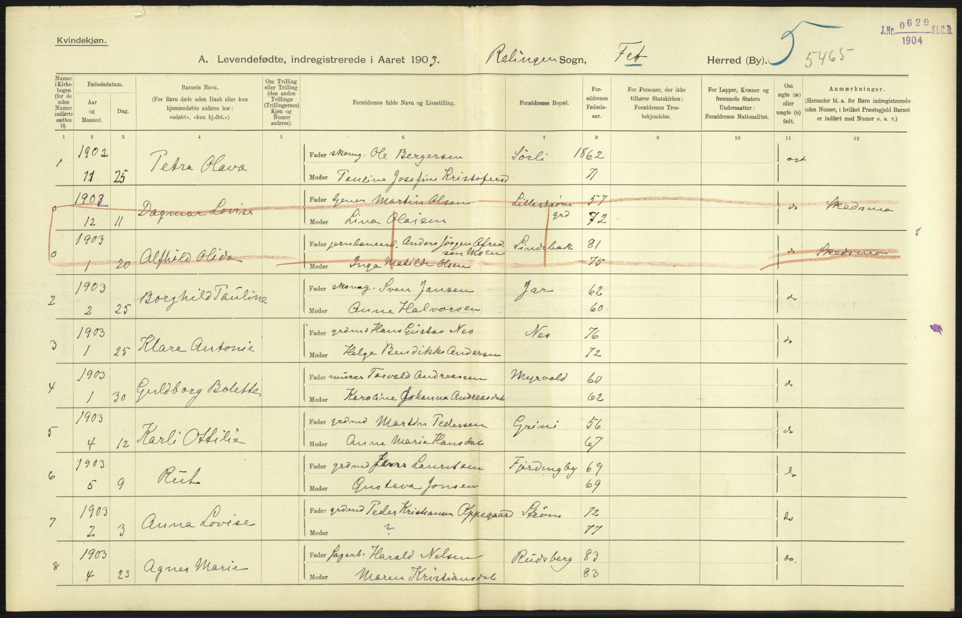 Statistisk sentralbyrå, Sosiodemografiske emner, Befolkning, AV/RA-S-2228/D/Df/Dfa/Dfaa/L0002: Akershus amt: Fødte, gifte, døde, 1903, p. 69