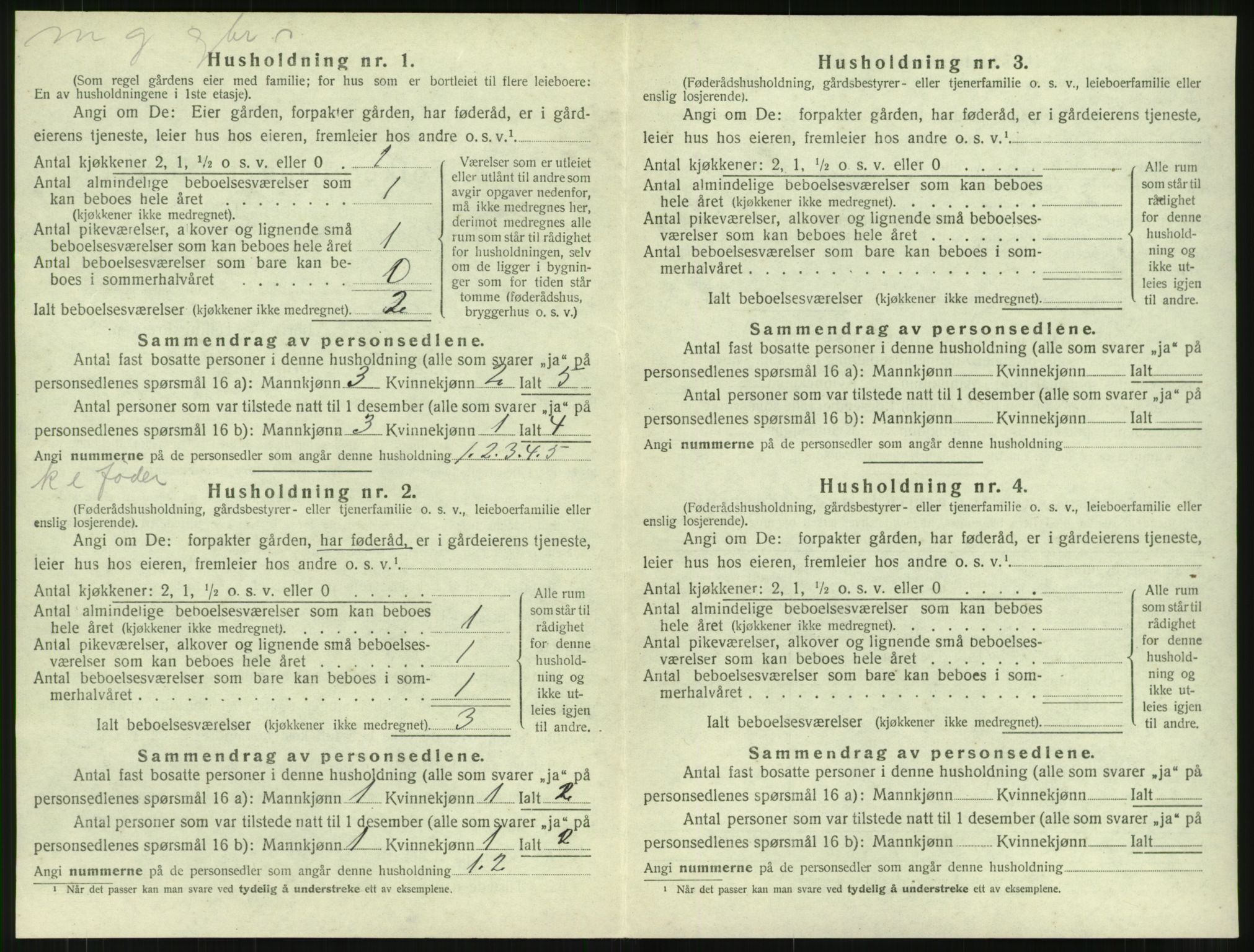 SAT, 1920 census for Eid (MR), 1920, p. 481