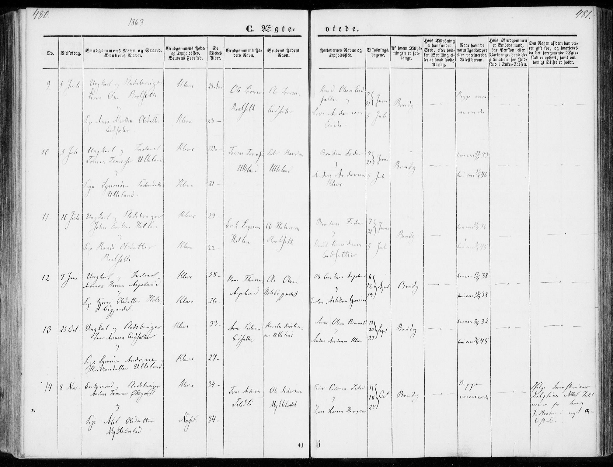 Ministerialprotokoller, klokkerbøker og fødselsregistre - Møre og Romsdal, AV/SAT-A-1454/557/L0680: Parish register (official) no. 557A02, 1843-1869, p. 480-481