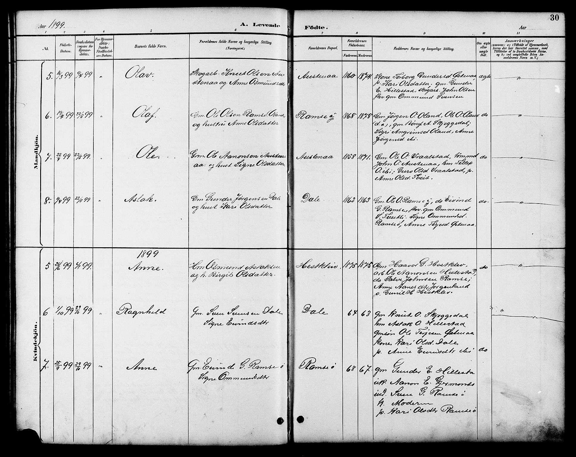 Åmli sokneprestkontor, AV/SAK-1111-0050/F/Fb/Fbb/L0002: Parish register (copy) no. B 2, 1890-1905, p. 30