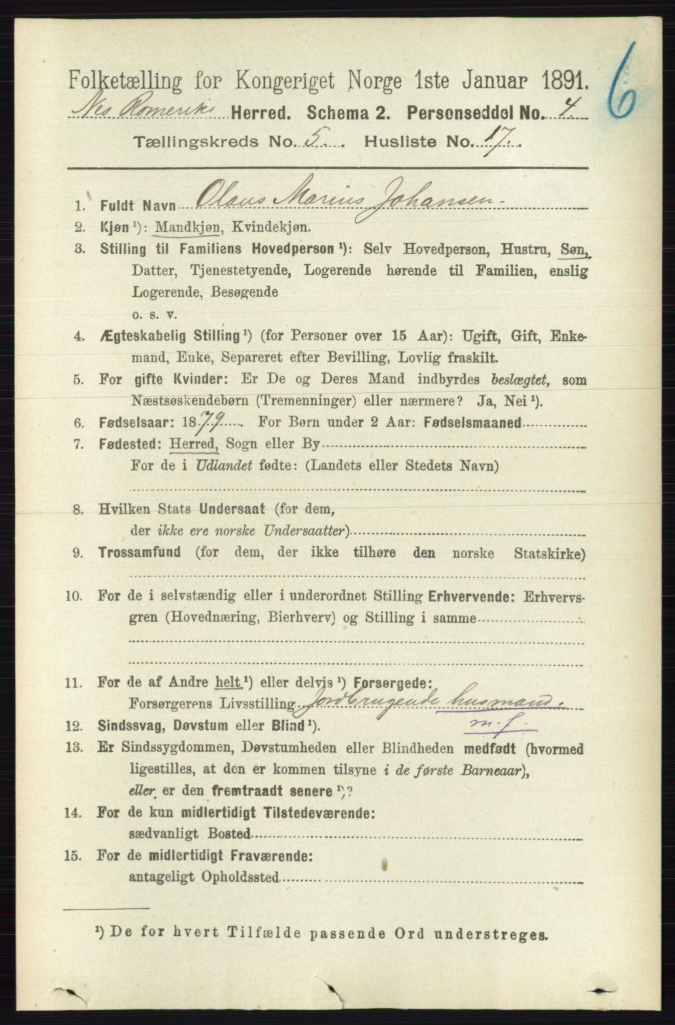RA, 1891 census for 0236 Nes, 1891, p. 2884