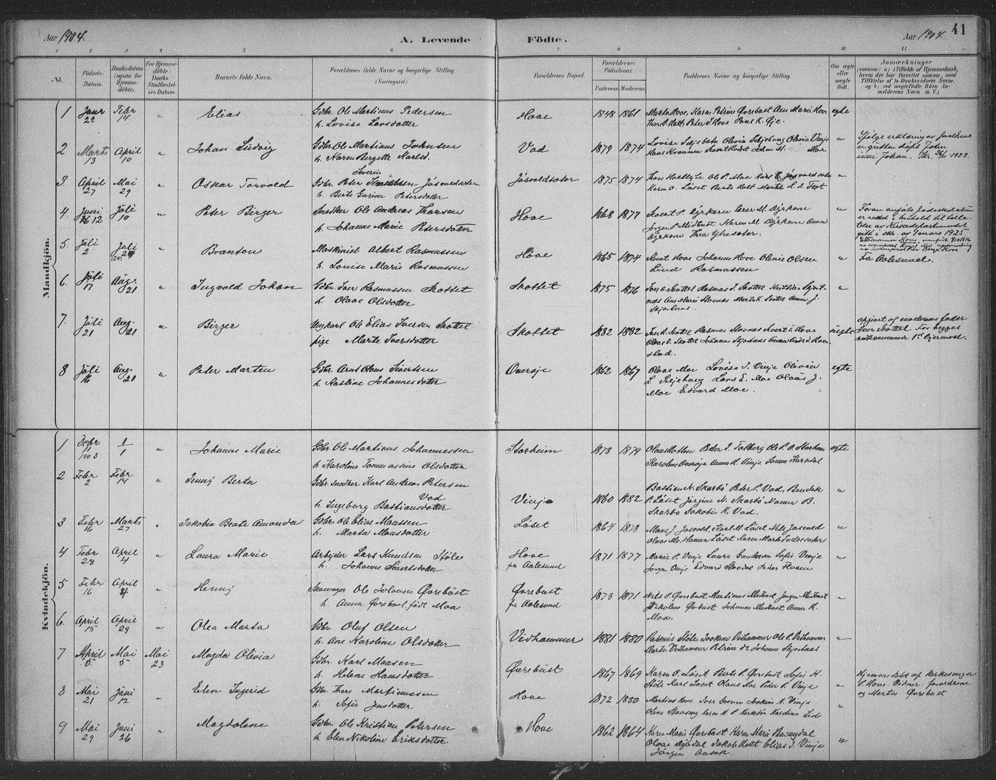 Ministerialprotokoller, klokkerbøker og fødselsregistre - Møre og Romsdal, AV/SAT-A-1454/521/L0299: Parish register (official) no. 521A01, 1882-1907, p. 41