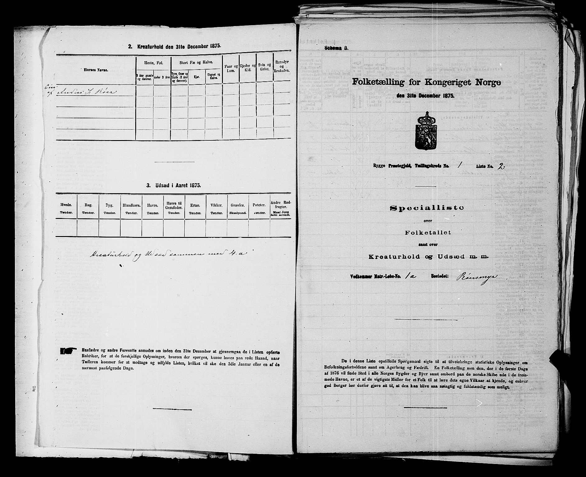 RA, 1875 census for 0136P Rygge, 1875, p. 25